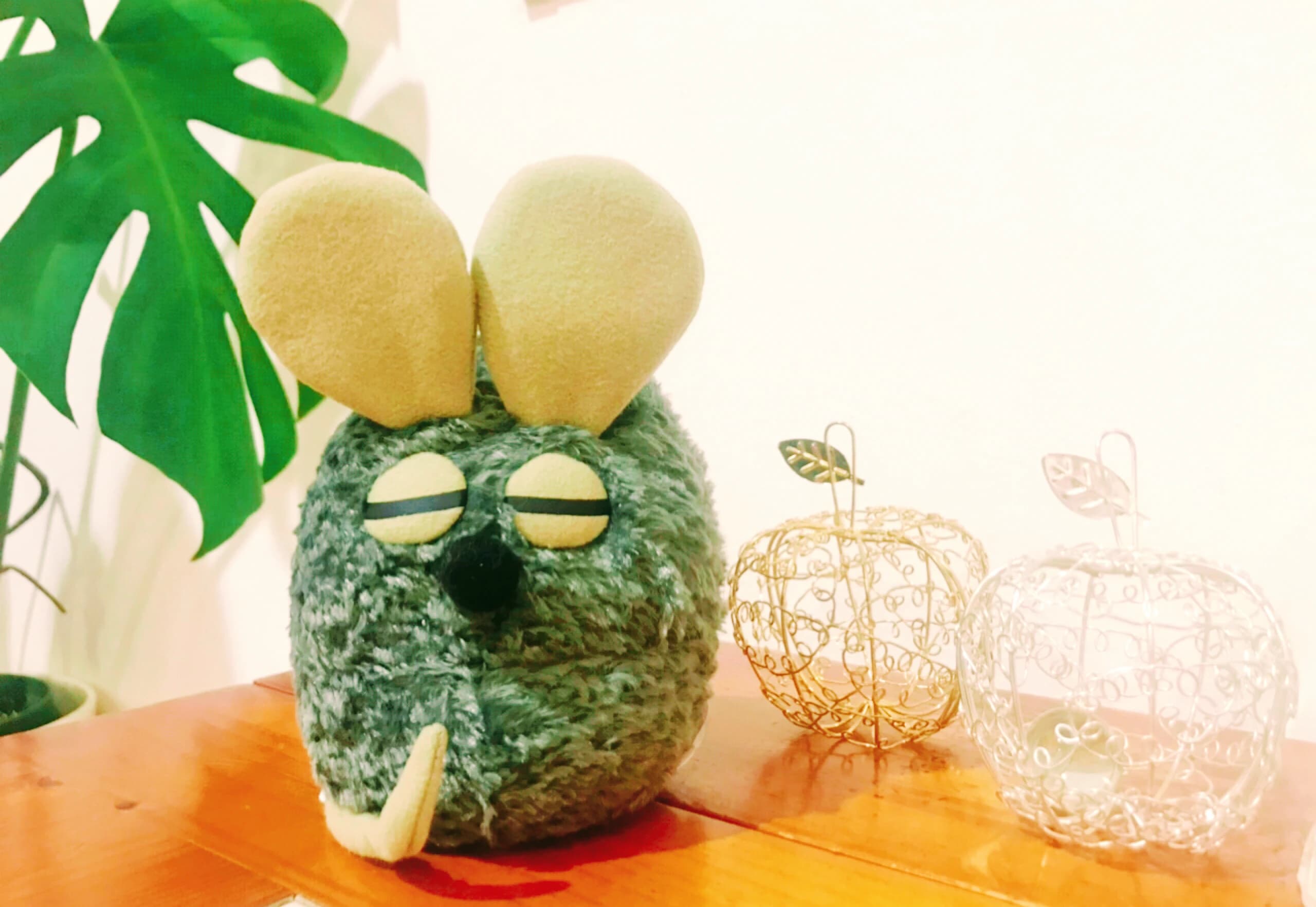 rism(リズム)髙橋ピアノ音楽教室 宇都宮市教室のサムネイル画像 5