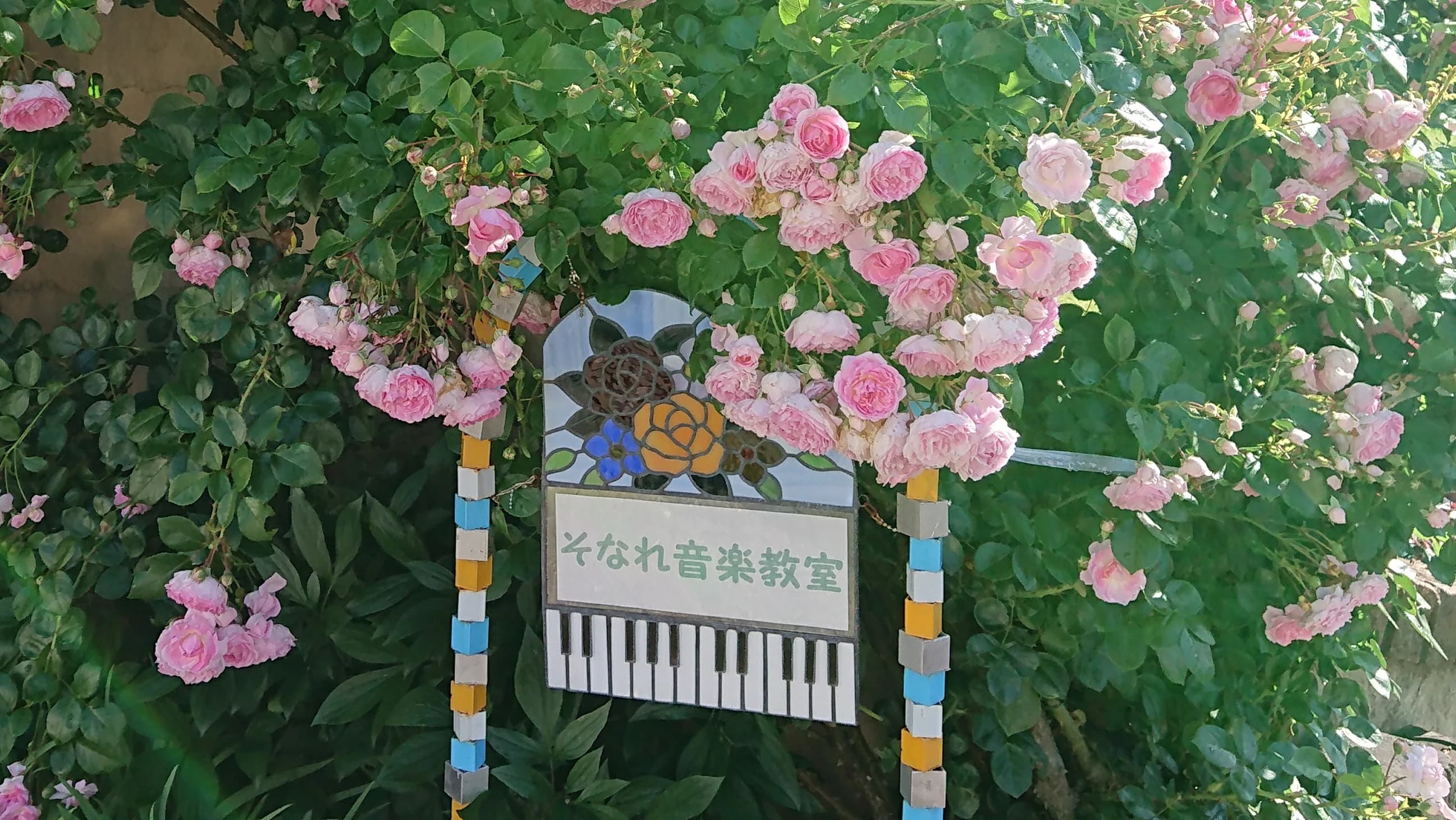 そなれ音楽教室 ピアノ 富士見教室のサムネイル画像 2