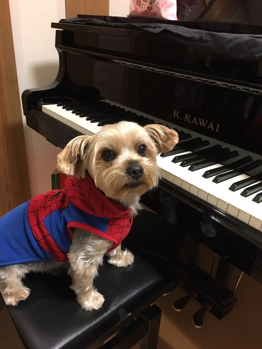 ピアノ教室ナチュラル 若松町教室のメイン画像