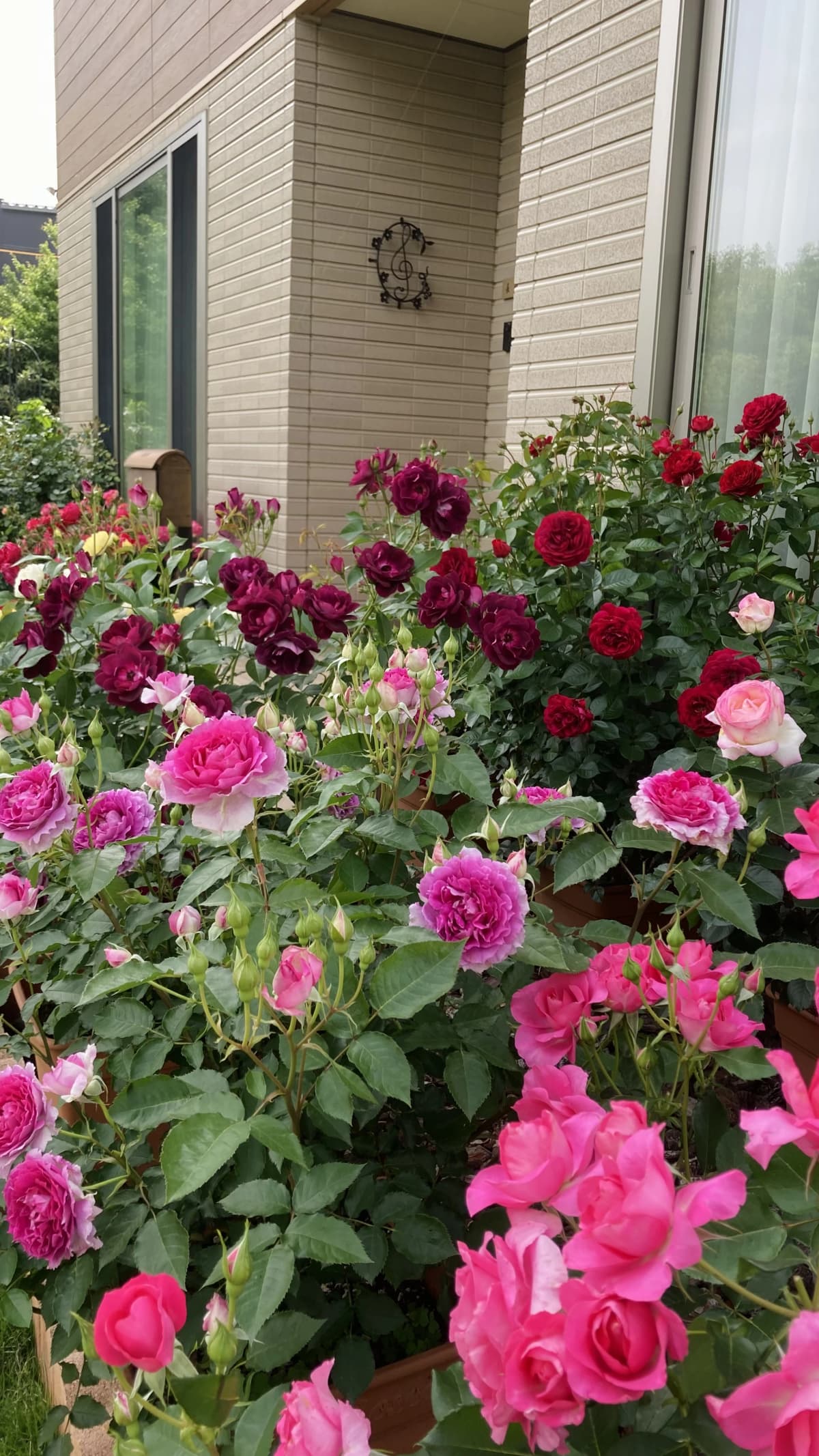 サムネイル画像 6