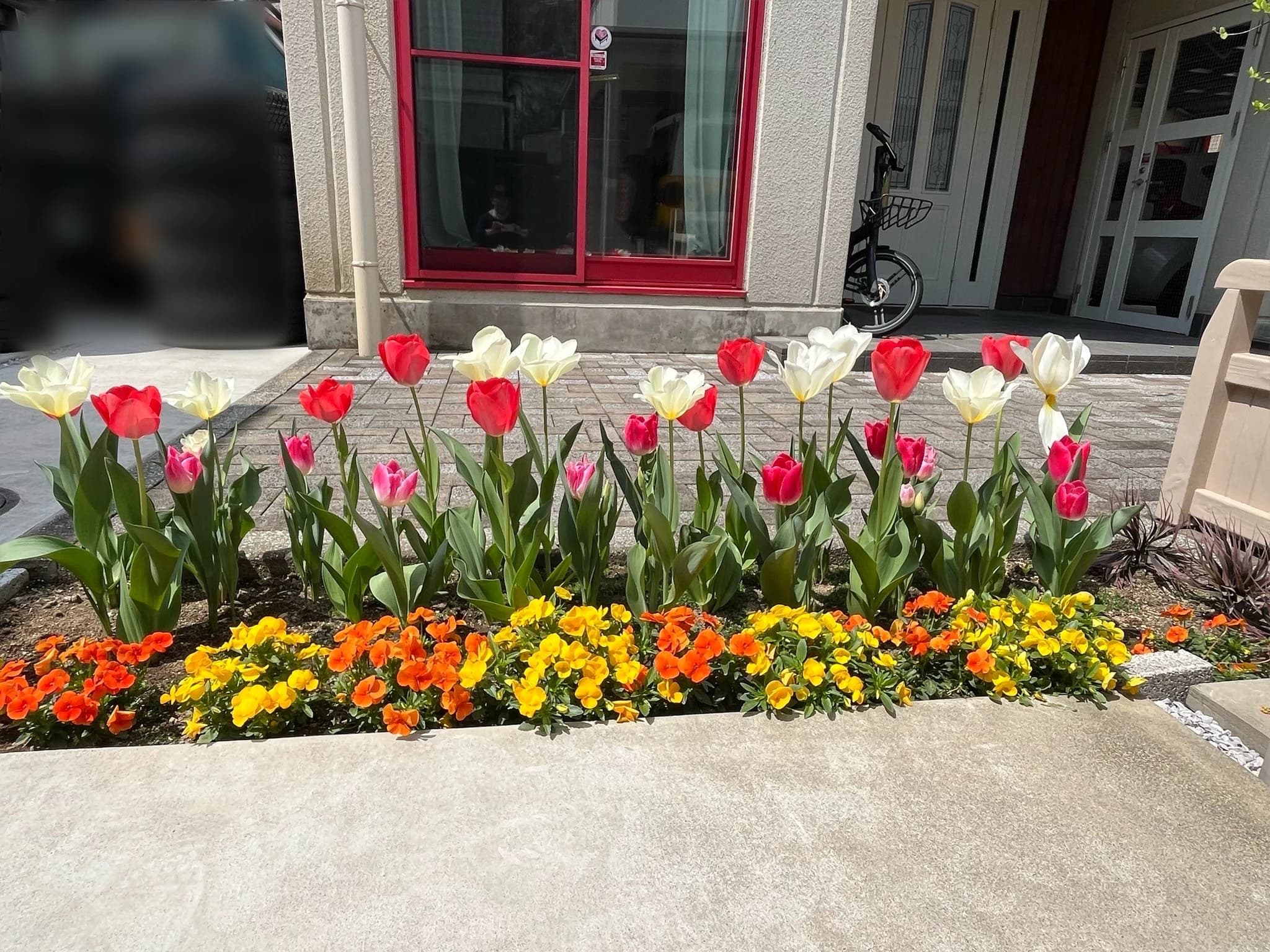 高崎市フルリールピアノ教室 山田町教室のメイン画像