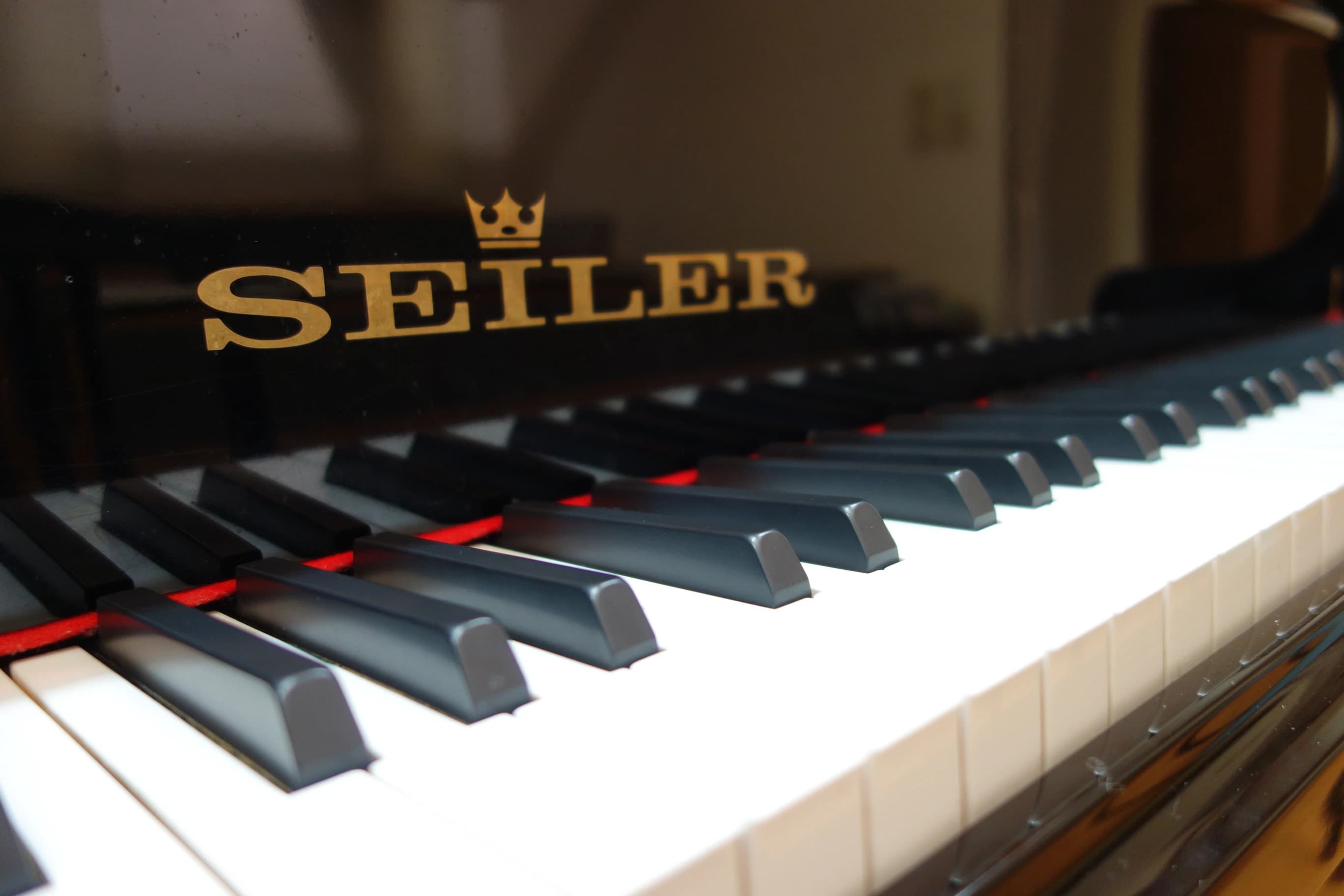 Vienna(ヴィエナ) ピアノ ヴィエナ高崎のメイン画像