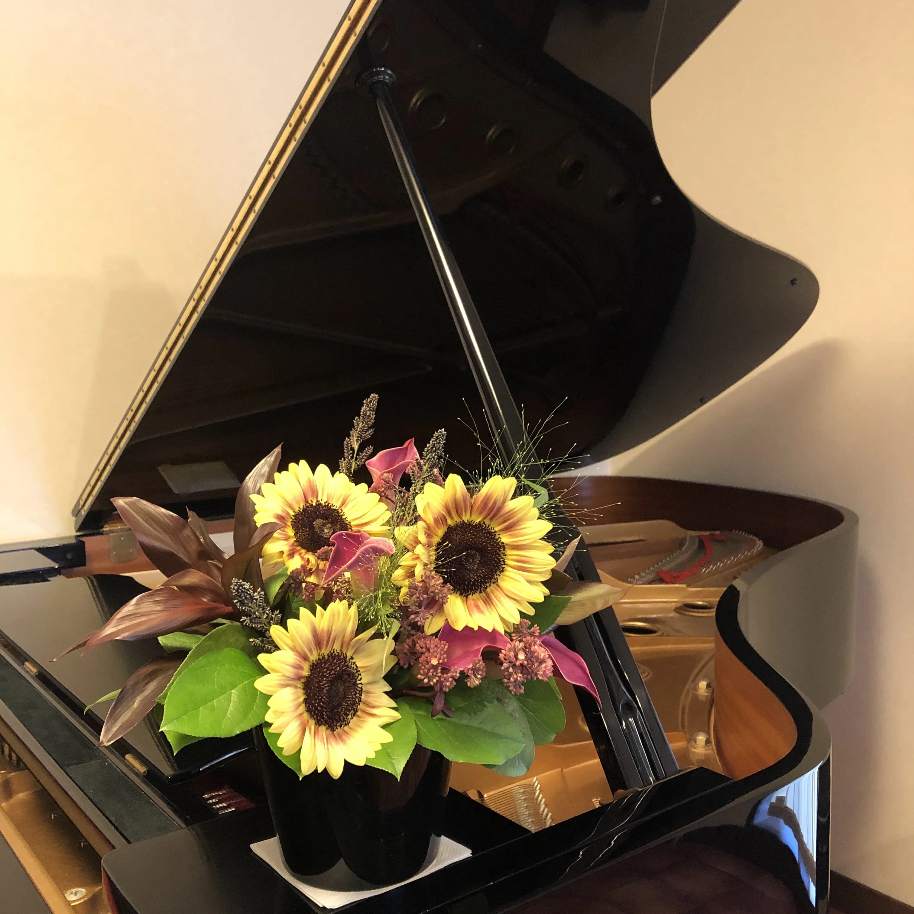 Primaぴあの教室 下磯部教室のメイン画像