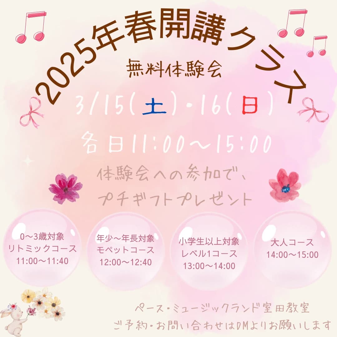 ペース・ミュージックランド ピアノ 室田教室のメイン画像