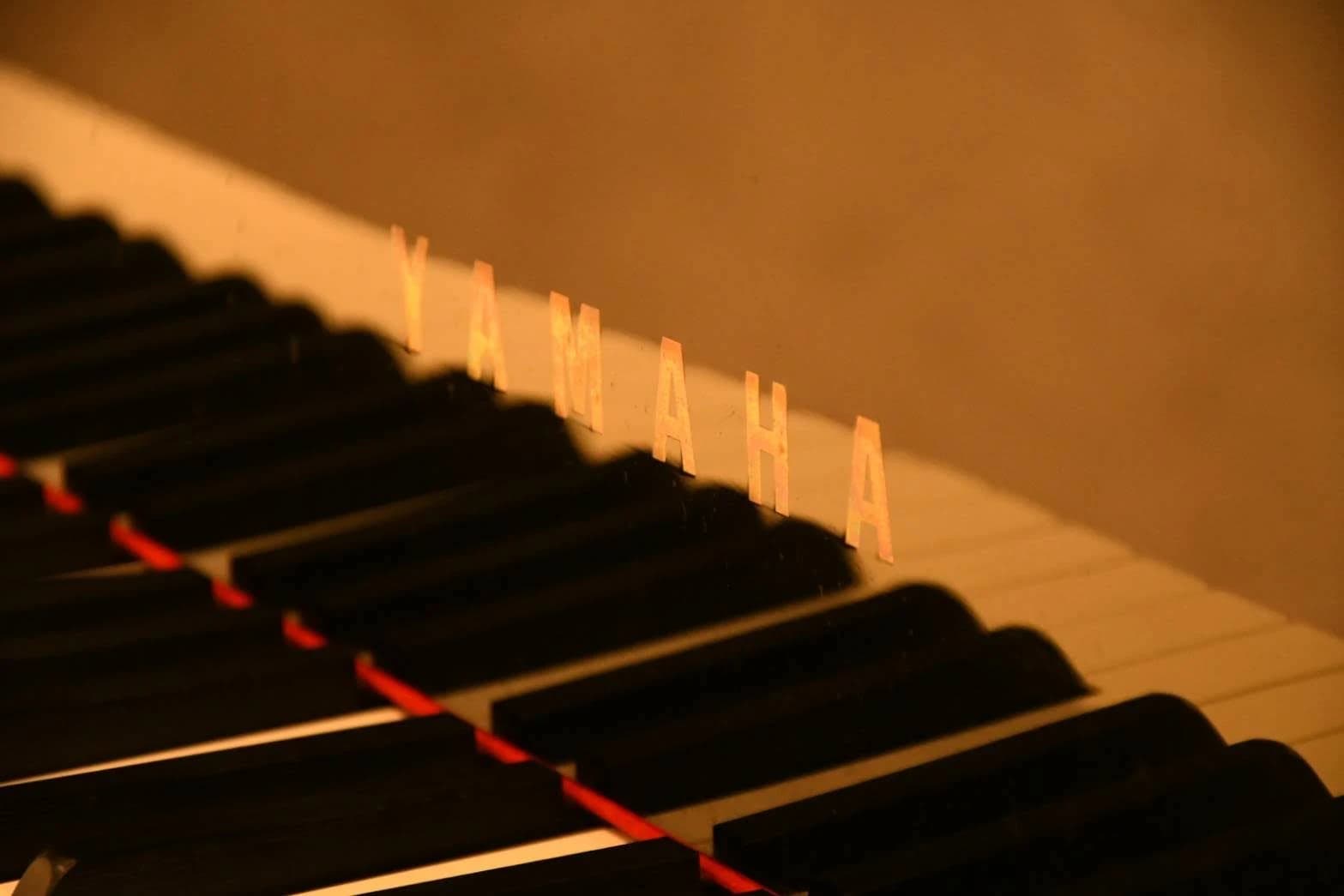 ペース・ミュージックランド ピアノ 室田教室のサムネイル画像 3