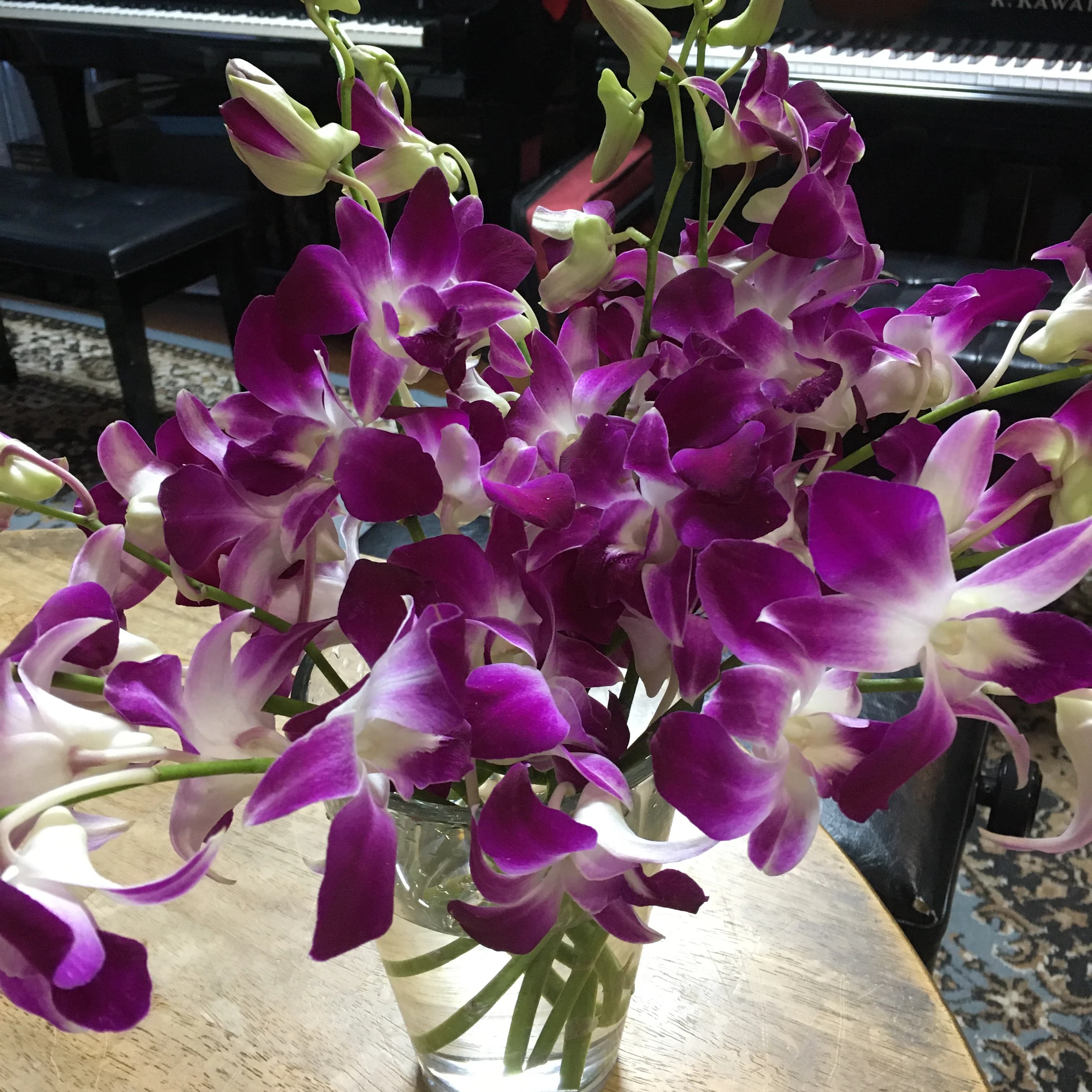 桐生さいとうピアノ教室 元宿町教室のサムネイル画像 3