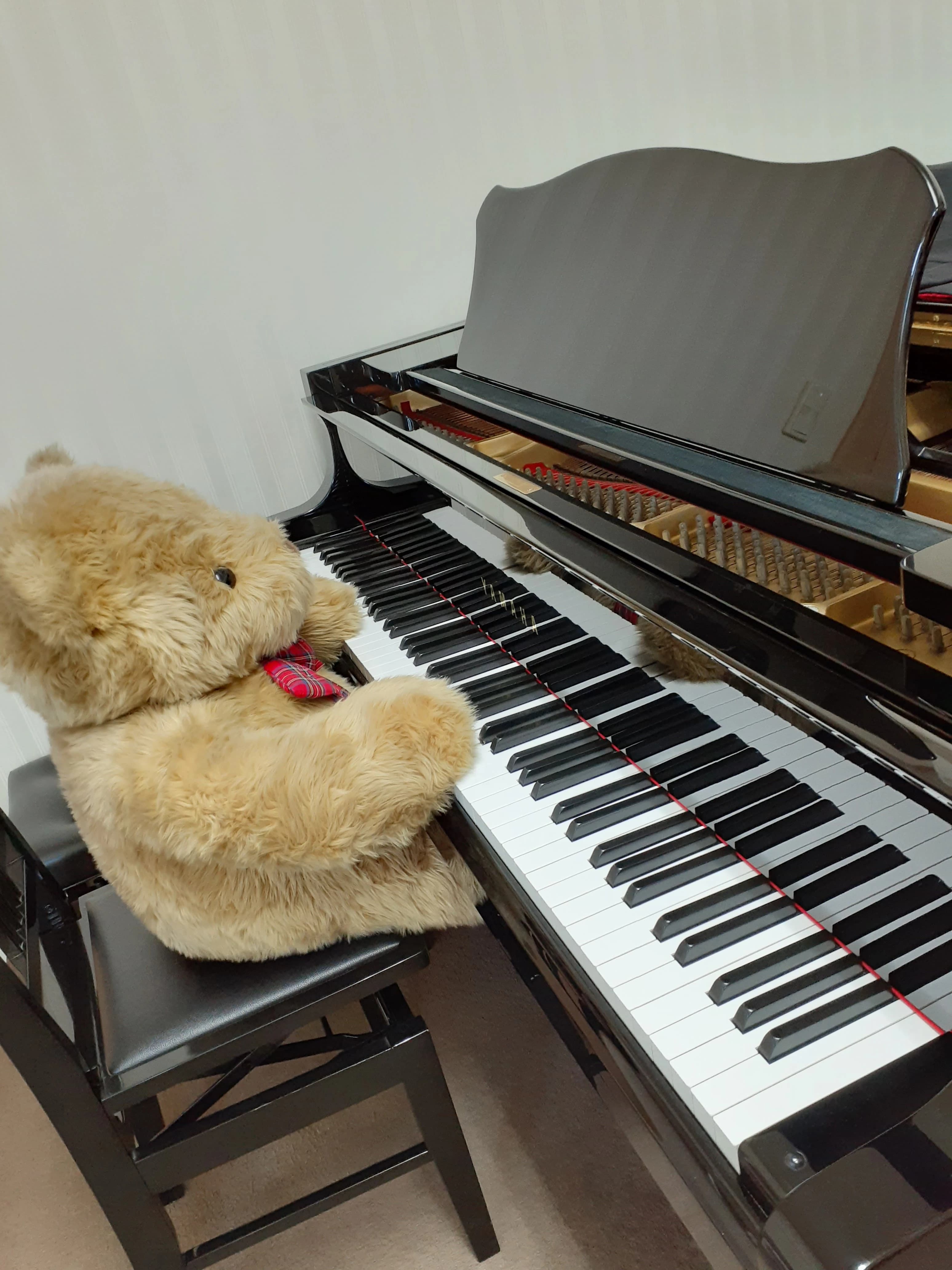 ふなこしピアノ音楽教室 相生町教室のメイン画像