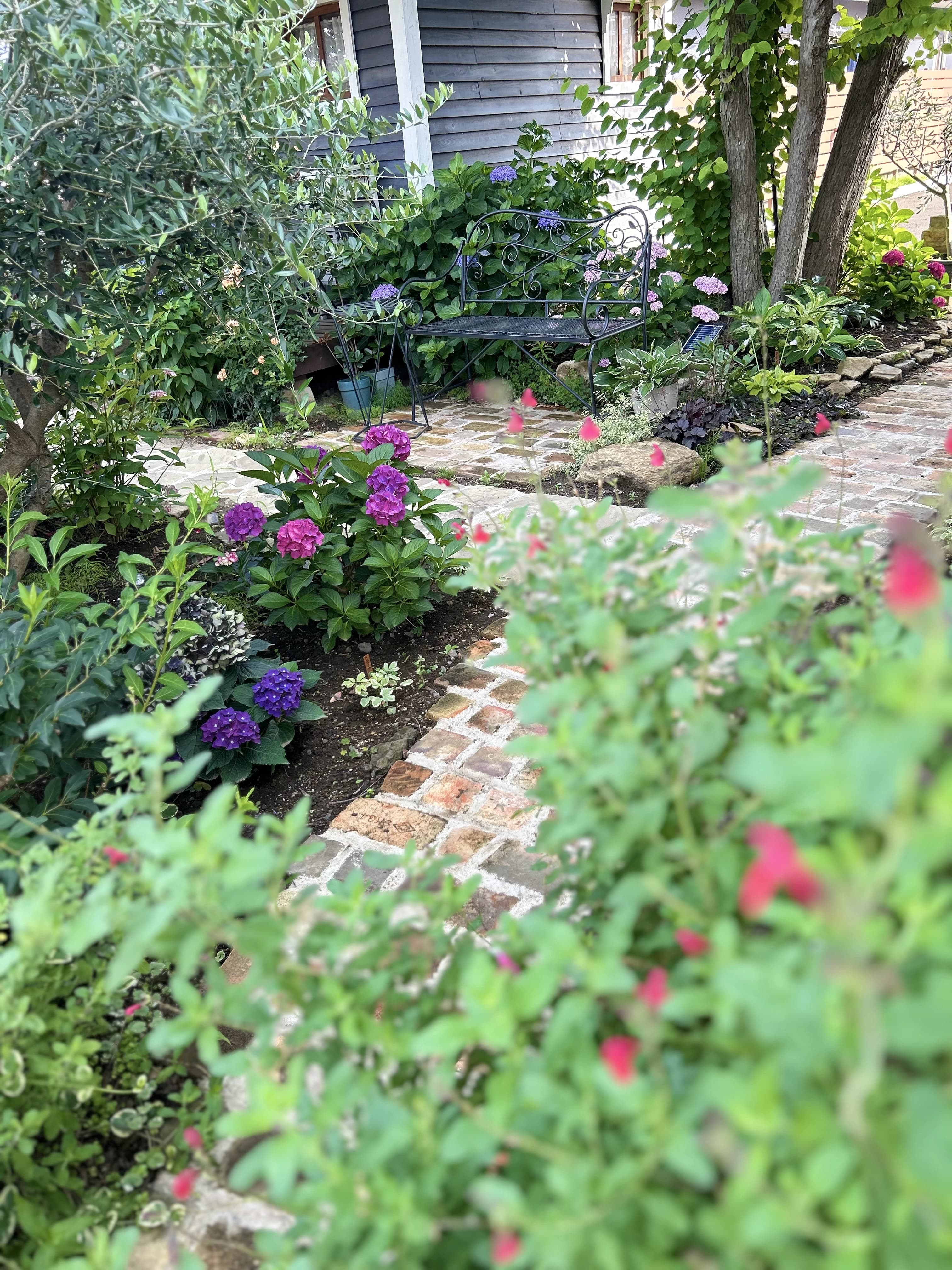 Piace(ピアチェ) ピアノ 由良町教室のサムネイル画像 5