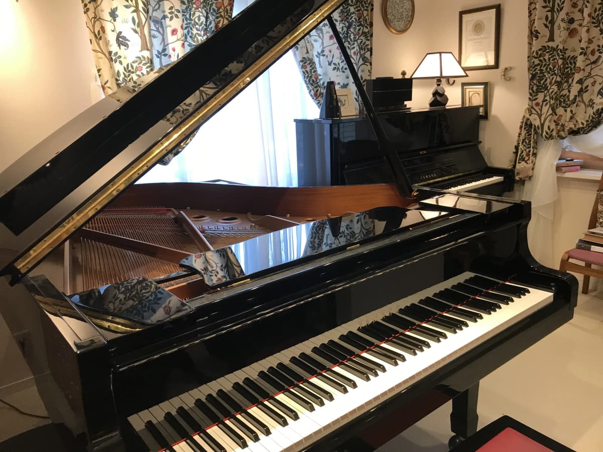 サムネイル画像 5