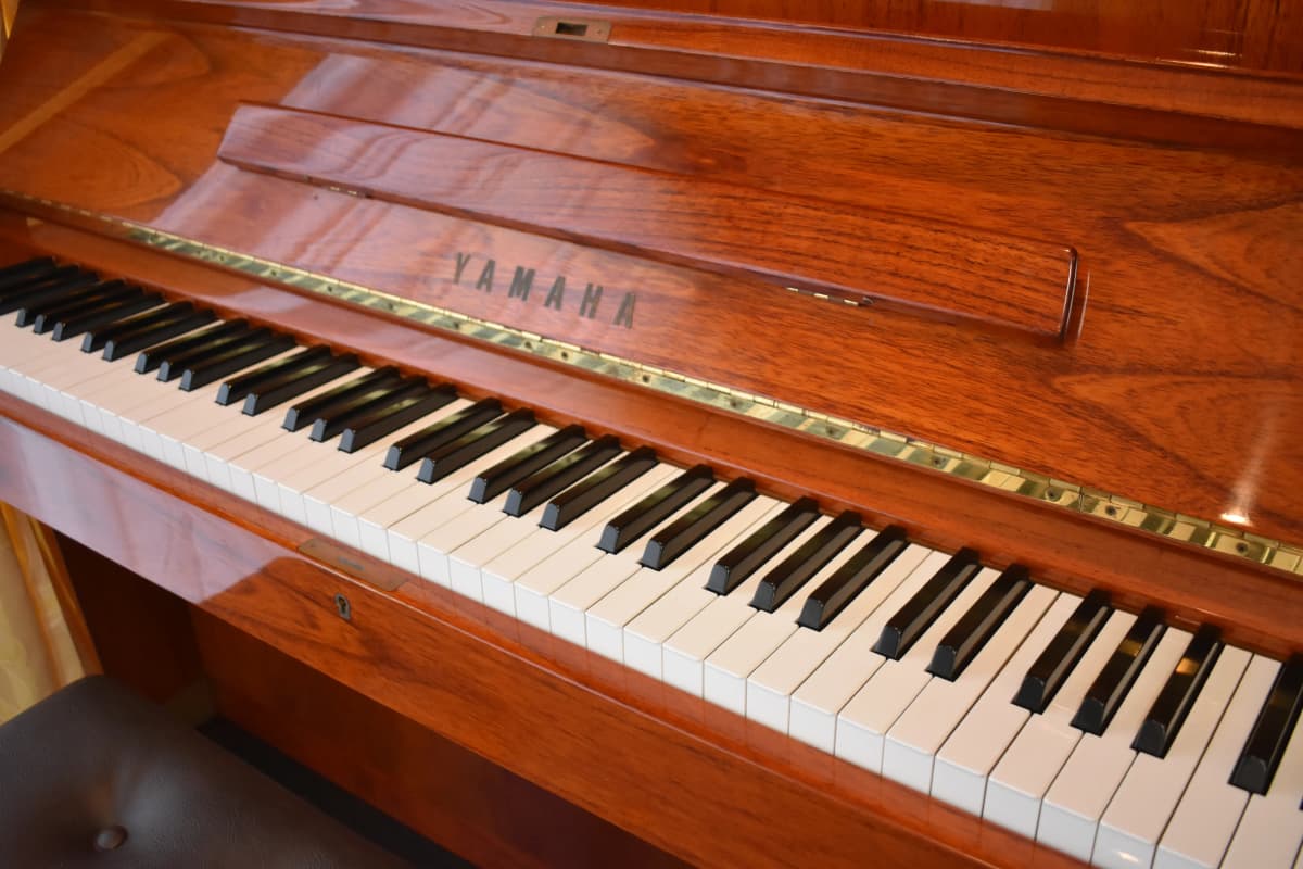 ミカ・リトミックピアノ 東本町教室 画像 25