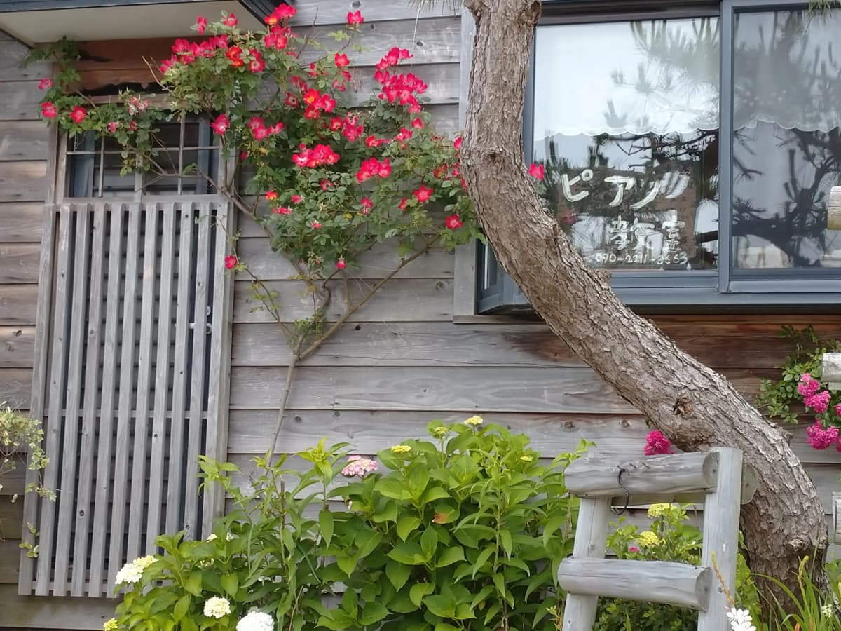 サムネイル画像 5