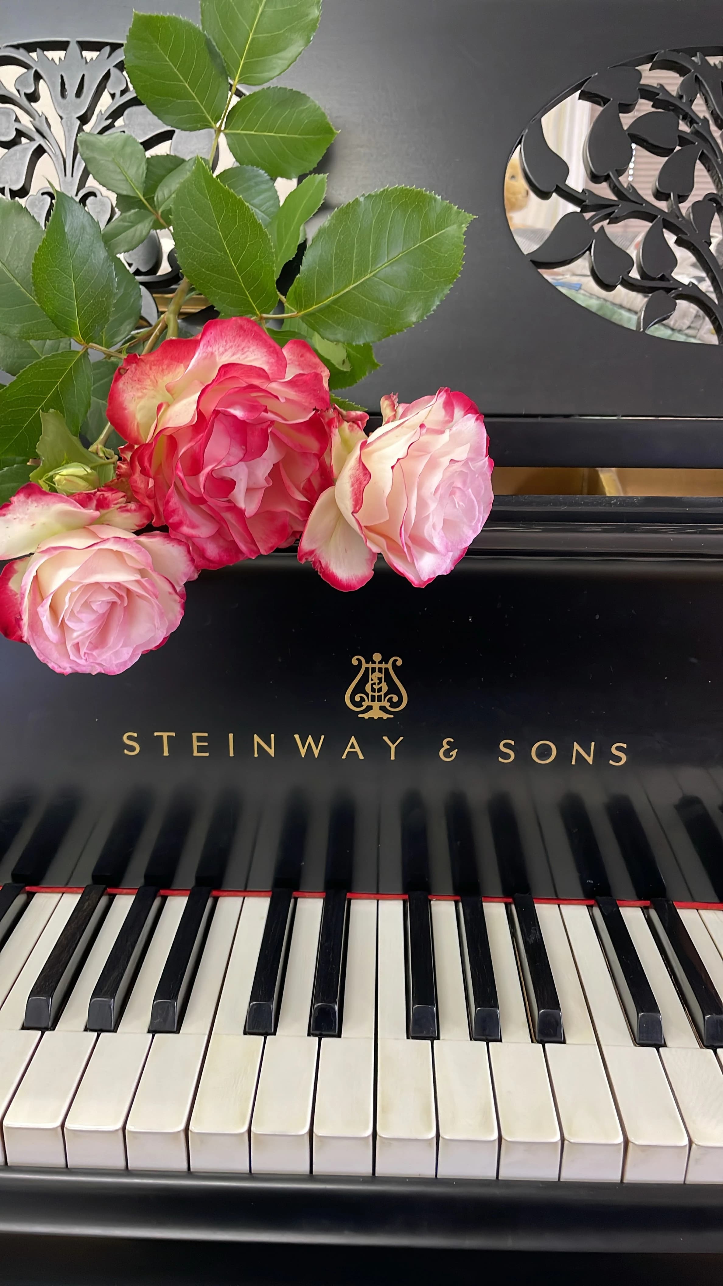 手塚雪江ピアノ教室 広丘吉田教室のメイン画像