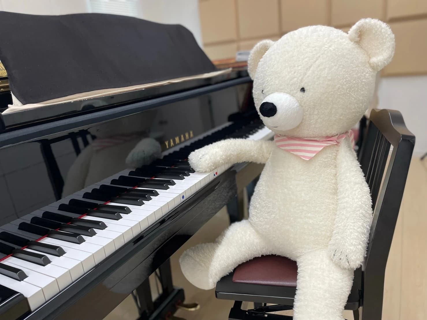 望月音楽教室 ピアノ 松本教室のサムネイル画像 3