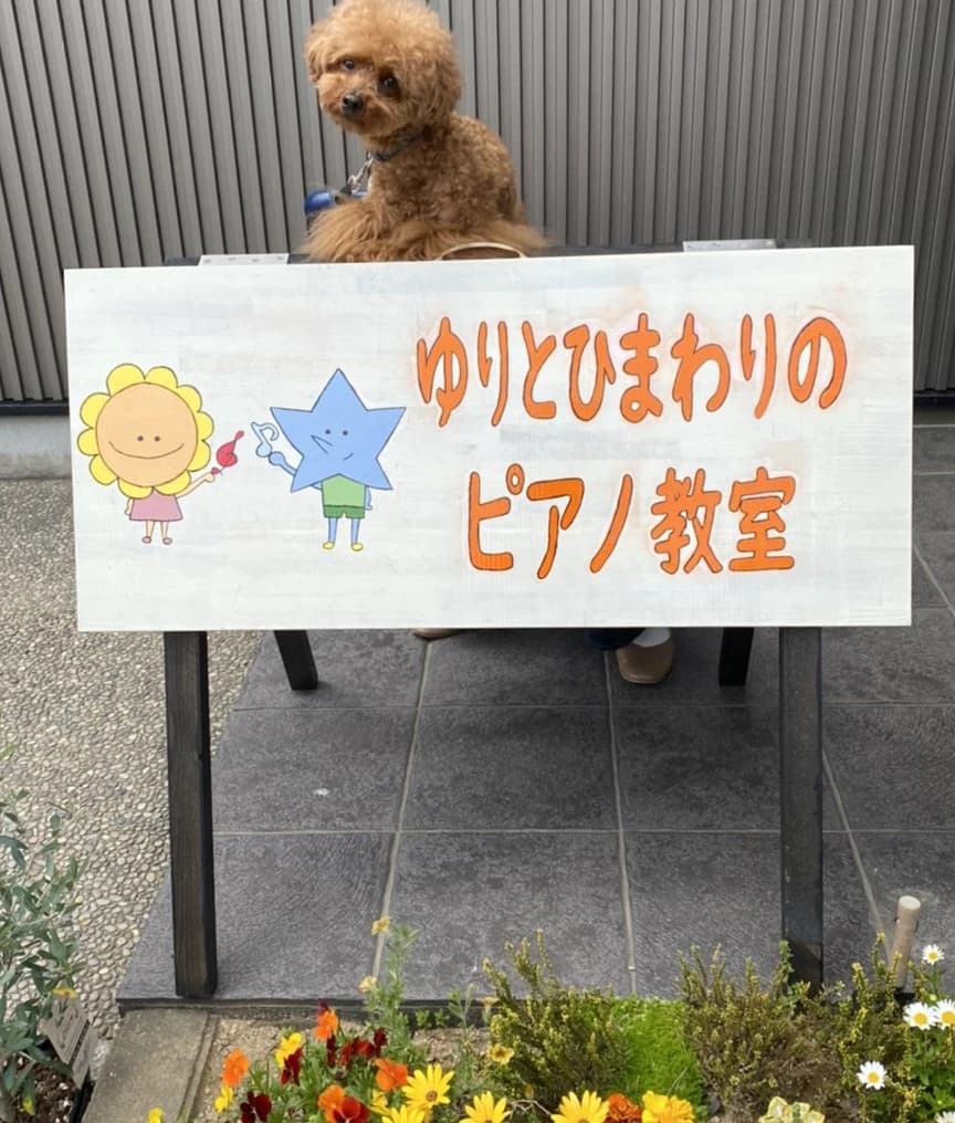 サムネイル画像 4