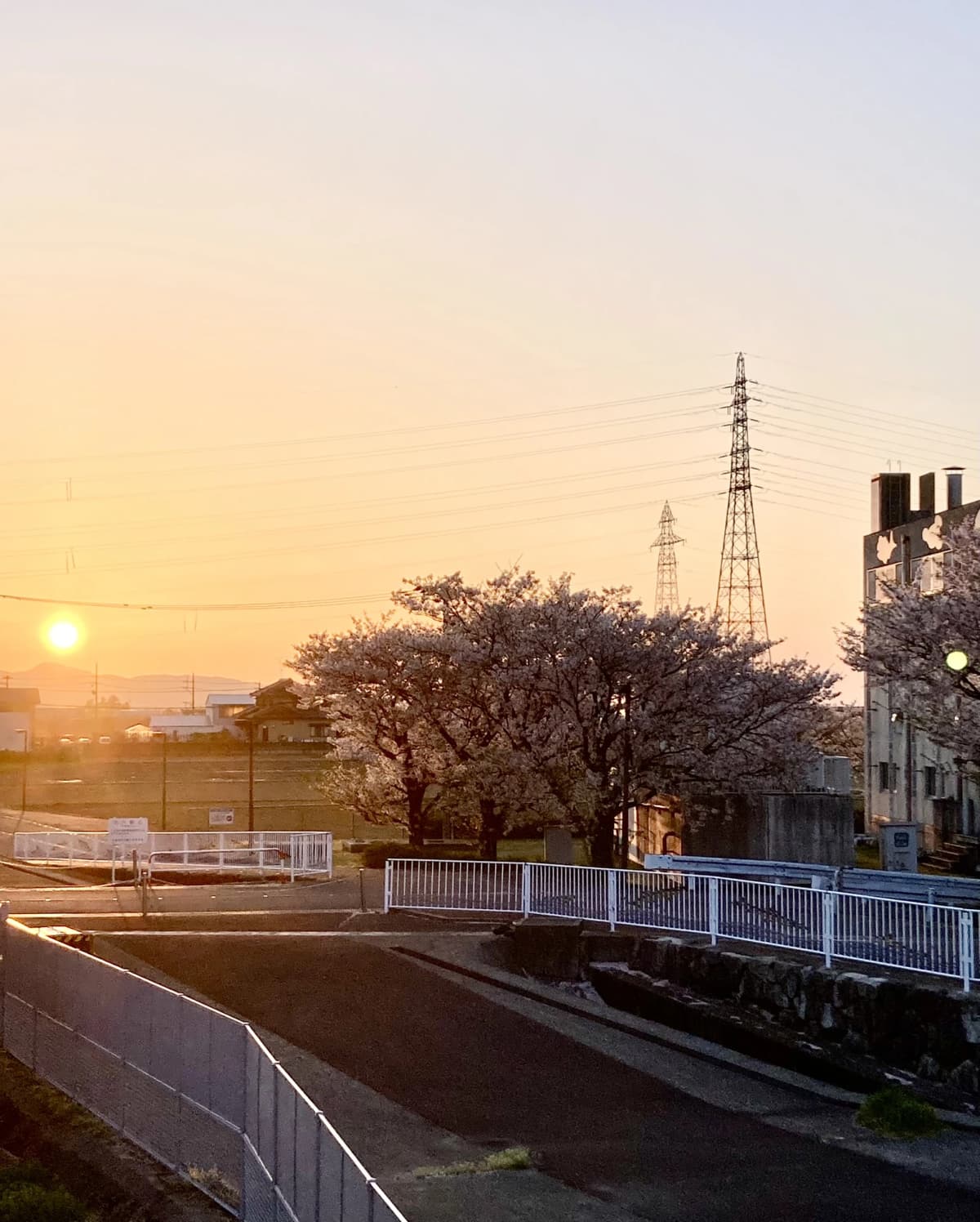 サムネイル画像 3