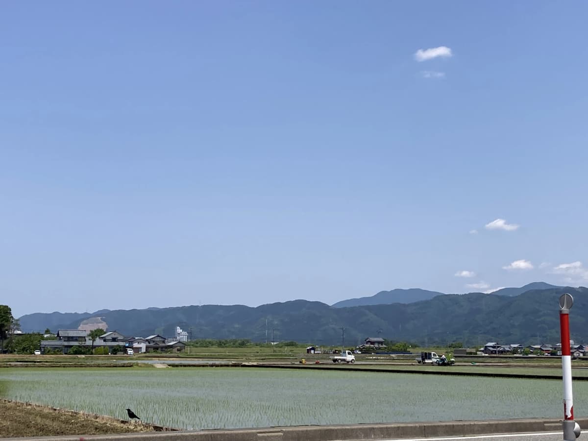 サムネイル画像 4