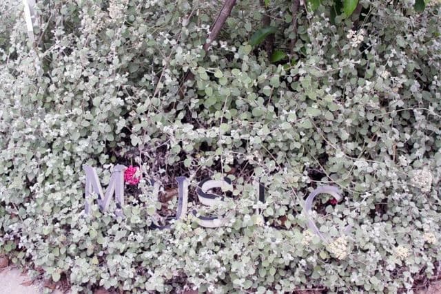 ポワンポワンスタジオ ピアノ 赤池町教室のサムネイル画像 4