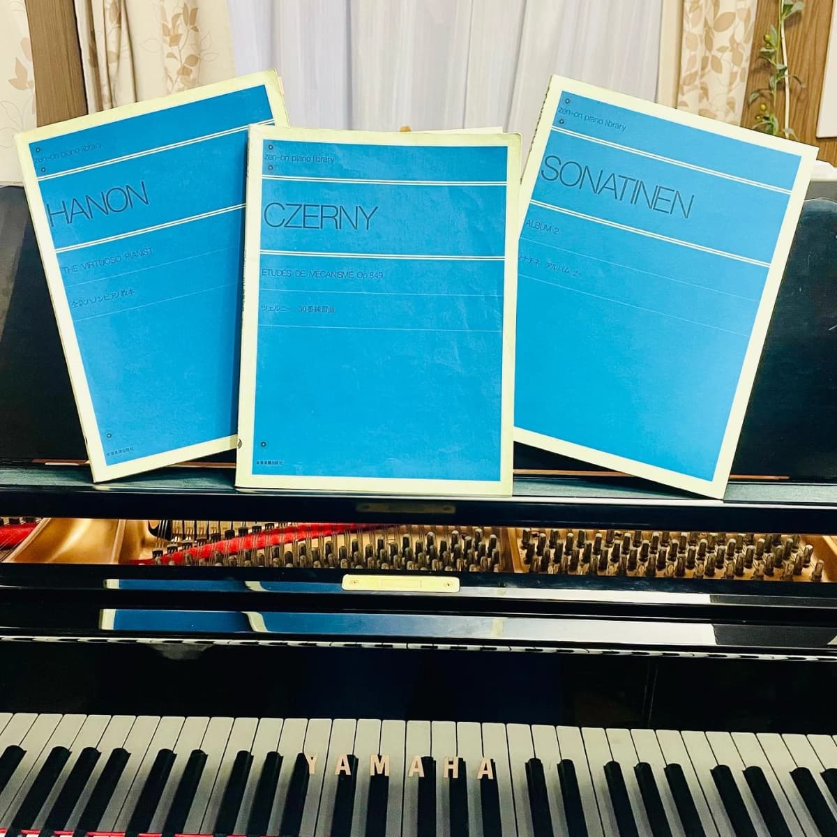 はっとり音楽教室 ピアノ 犬山市教室 画像 86