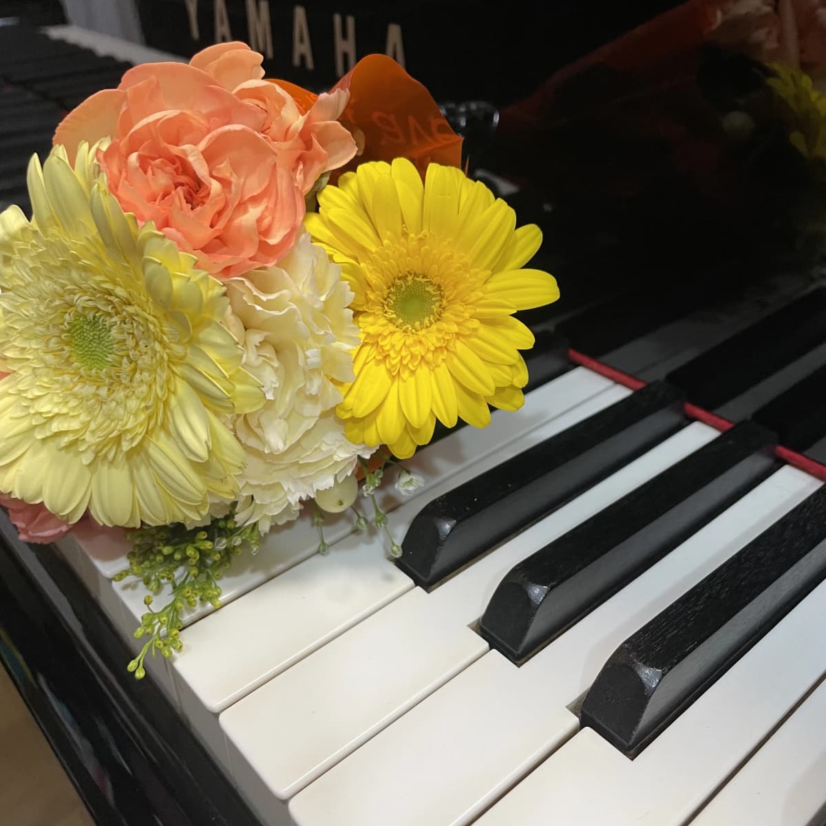 はっとり音楽教室 ピアノ 犬山市教室 画像 94