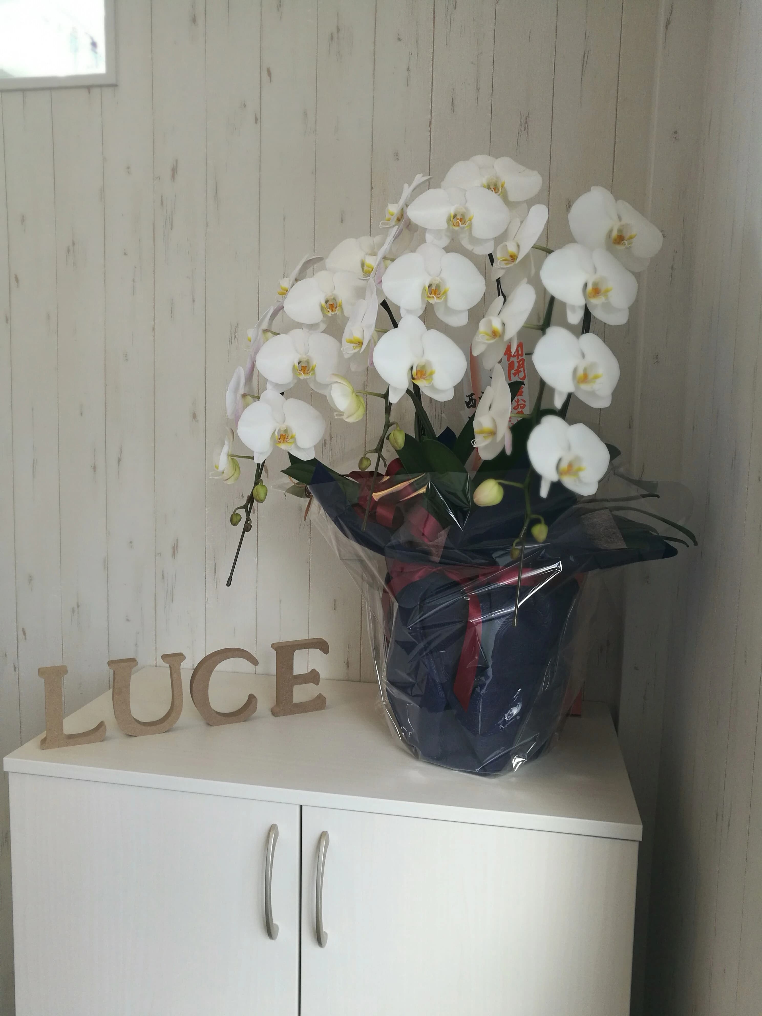 ピアノ教室luce(ルーチェ) 稲沢校のサムネイル画像 2