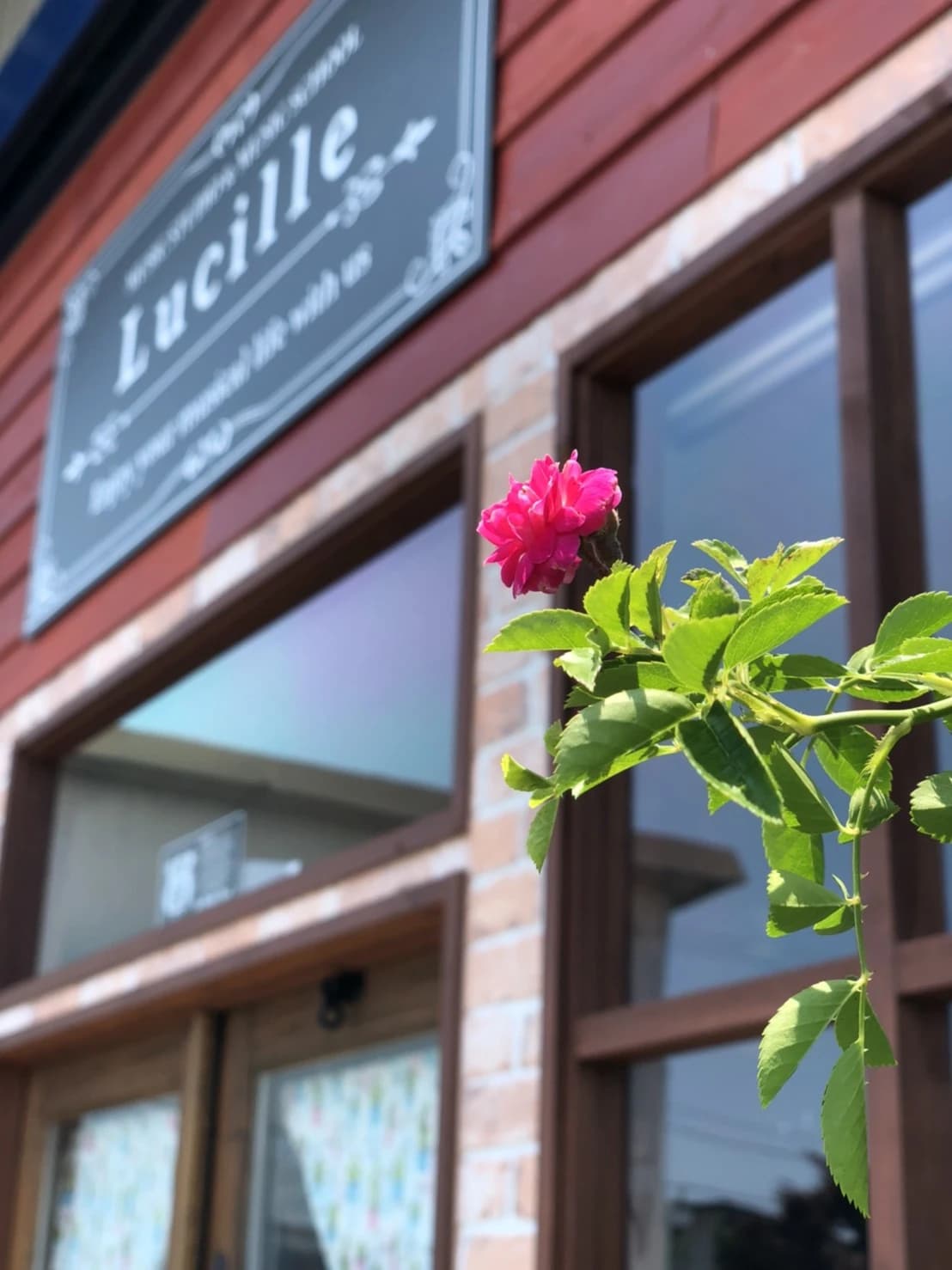 Lucille(ルシール) 音楽教室 ピアノ 白山町教室のサムネイル画像 2