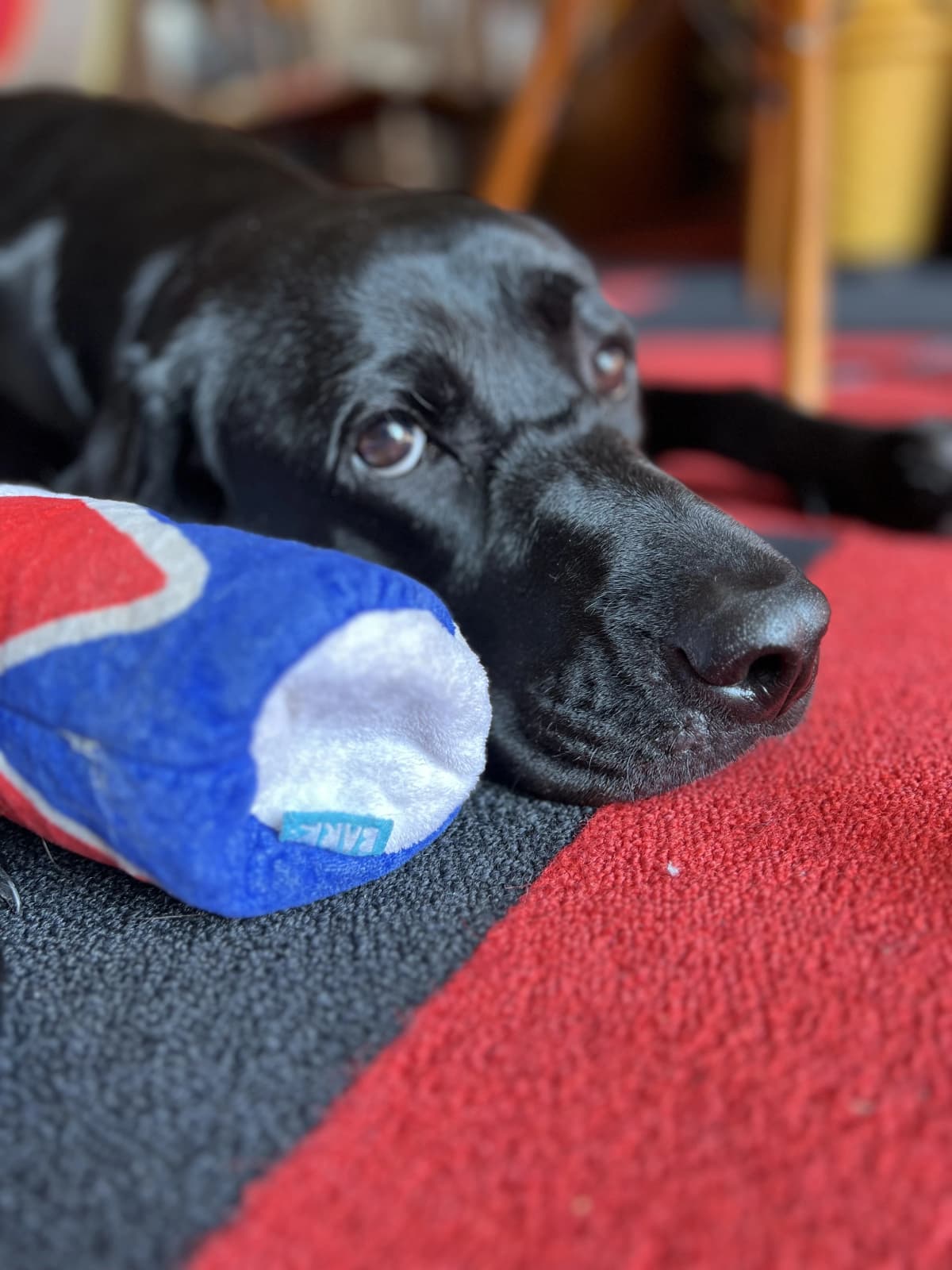 Lucille(ルシール) 音楽教室 ピアノ 白山町教室のサムネイル画像 4