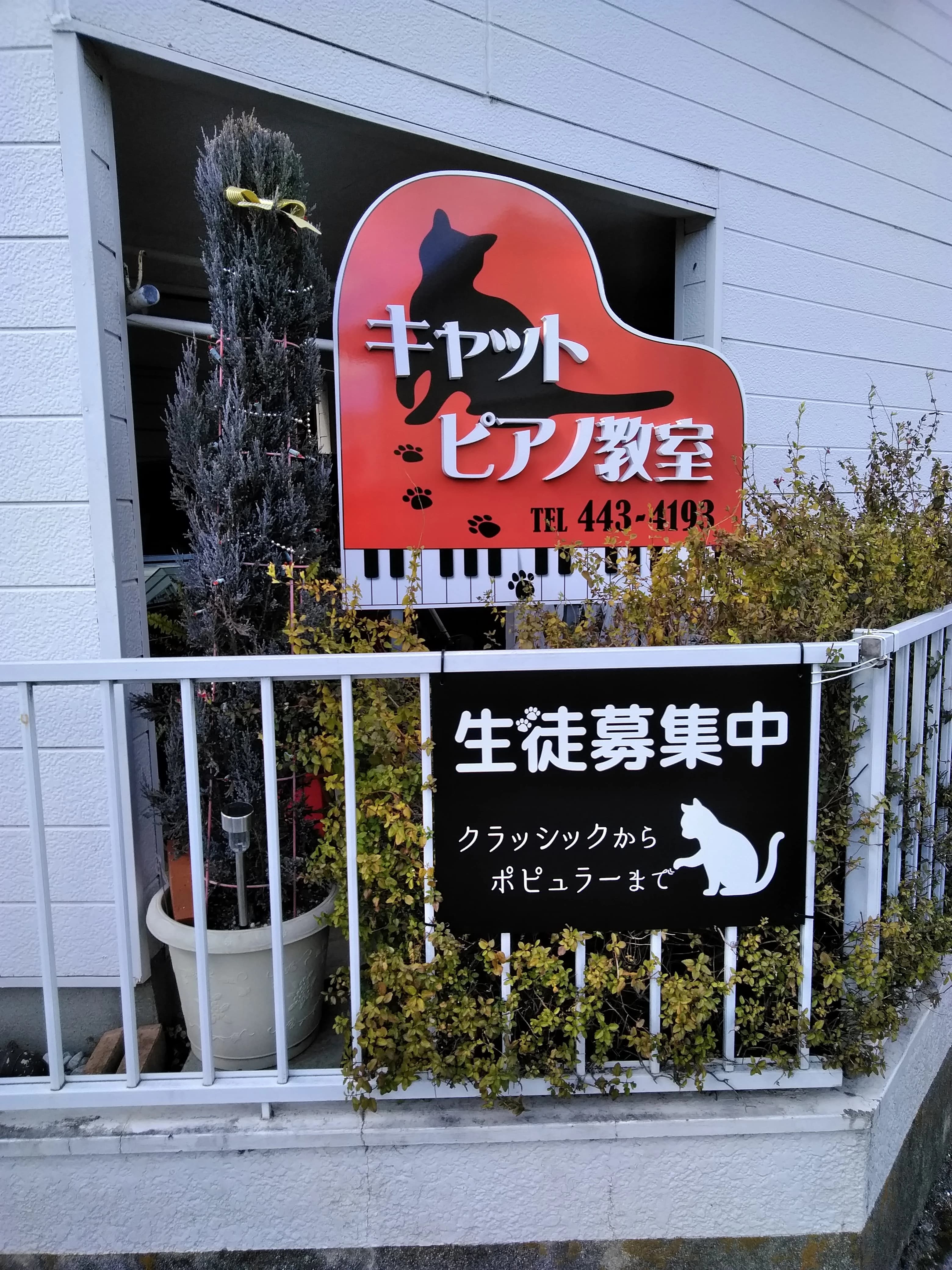 キャットピアノ教室 本郷三反地教室のサムネイル画像 4