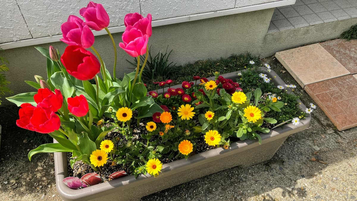 サムネイル画像 5