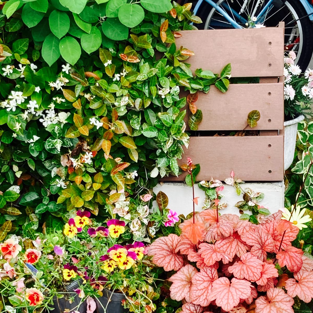 一宮市いしかわピアノ・音楽教室-虹の歌 大和教室のサムネイル画像 2