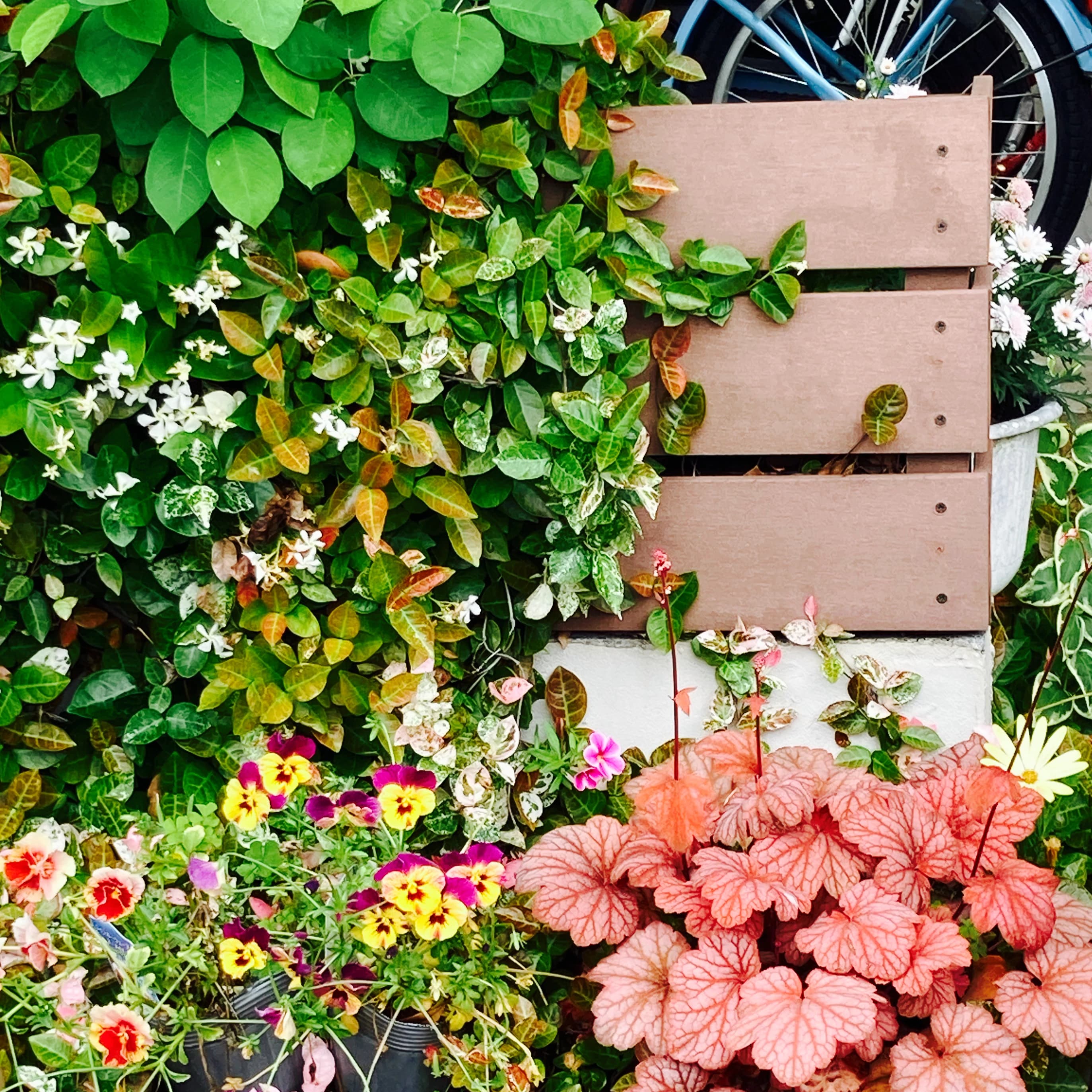 一宮市いしかわピアノ・音楽教室-虹の歌 大和教室のサムネイル画像 2