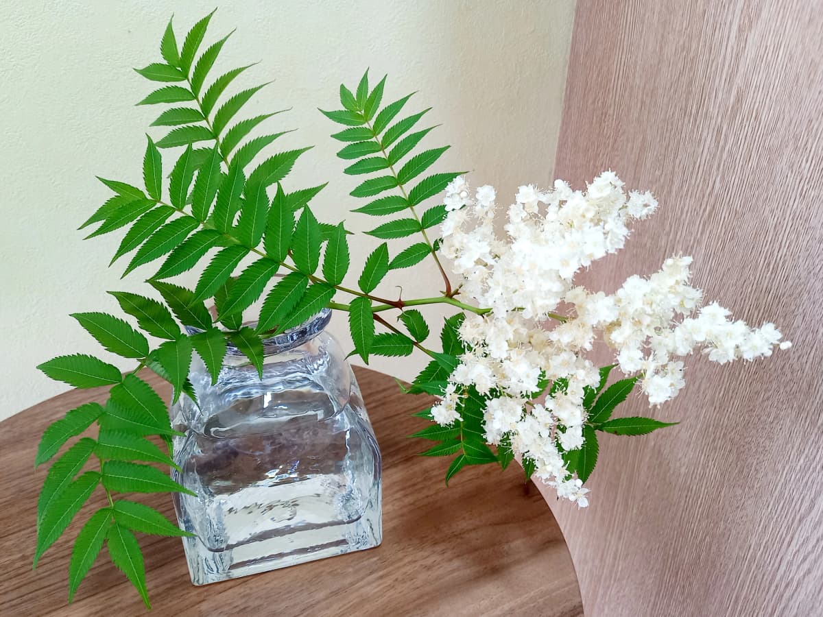 ハセガワ楽器 ピアノ 奥 町 画像 97