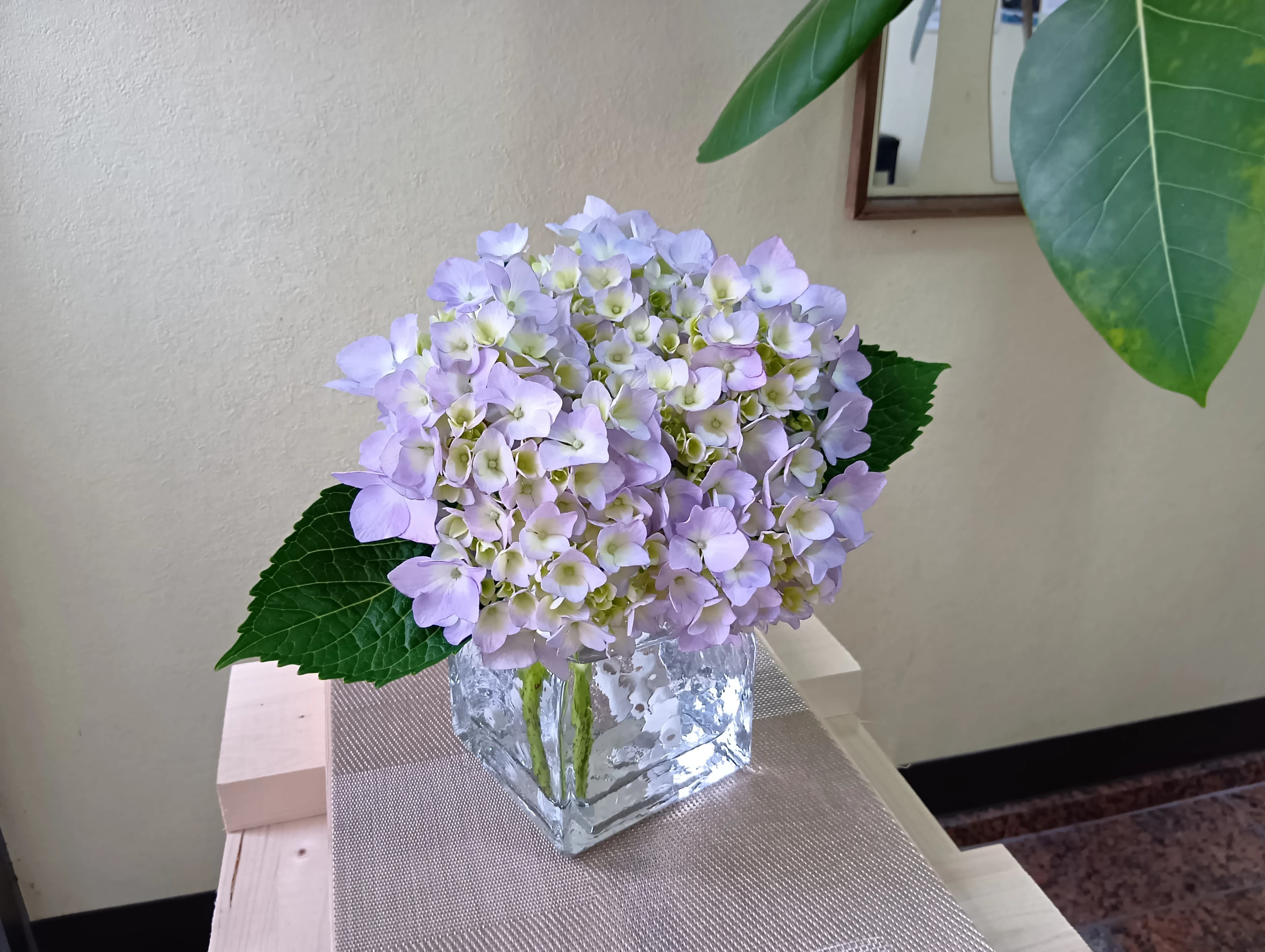 ハセガワ楽器 ピアノ 奥 町のサムネイル画像 5