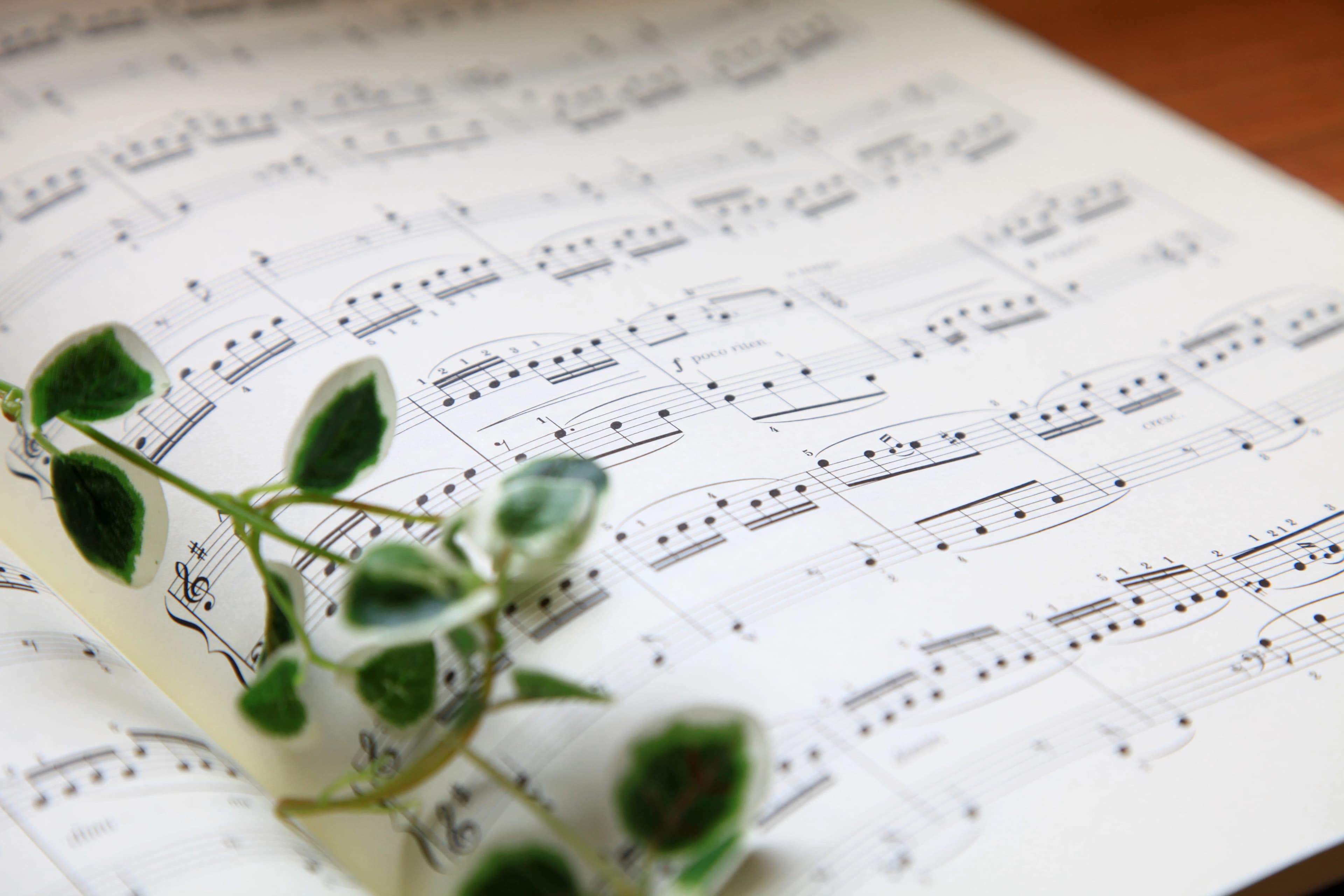 林本ピアノ教室 草井町教室のサムネイル画像 5