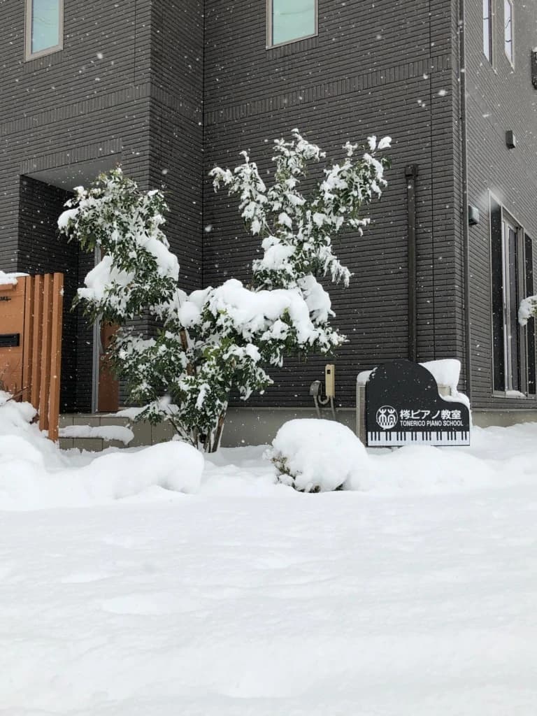 サムネイル画像 4