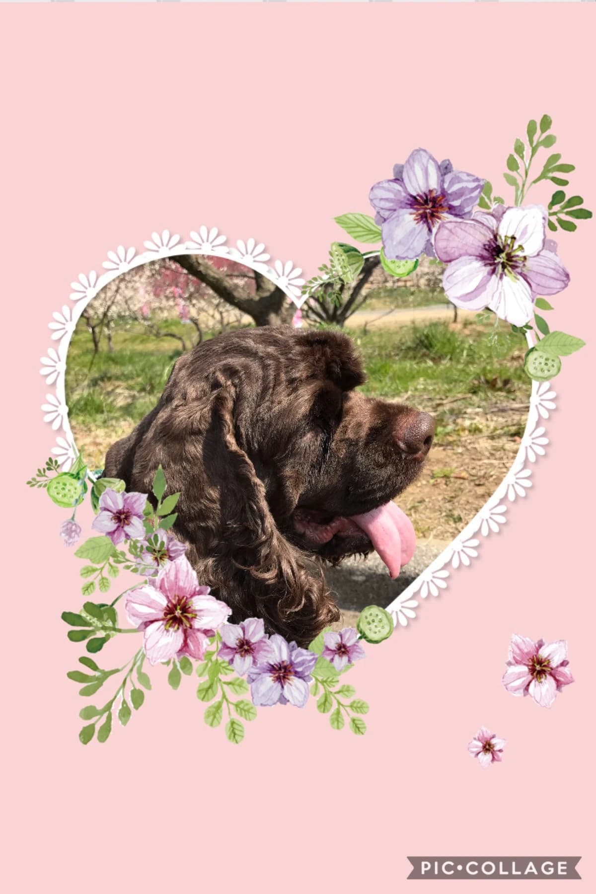 サムネイル画像 5