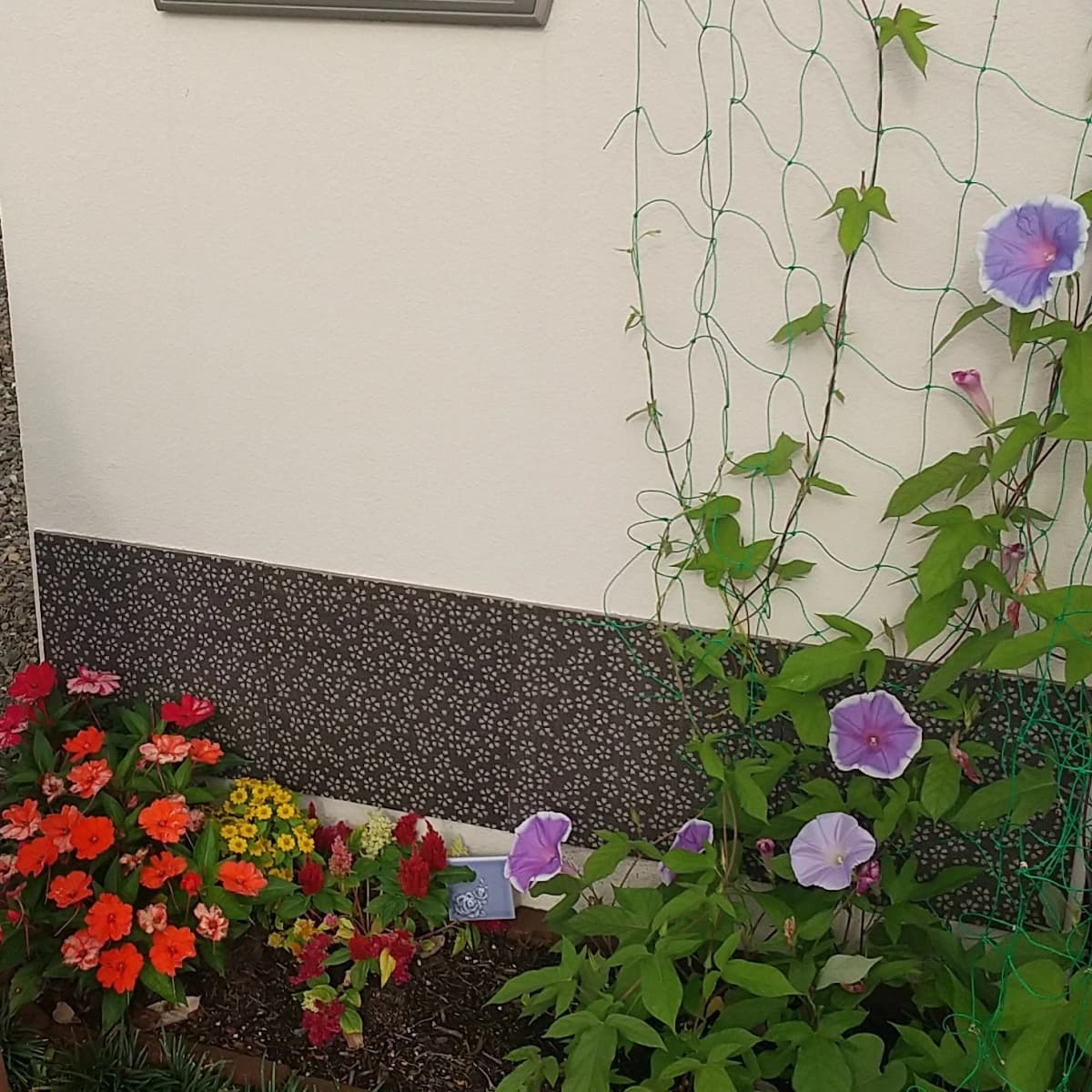 サムネイル画像 3