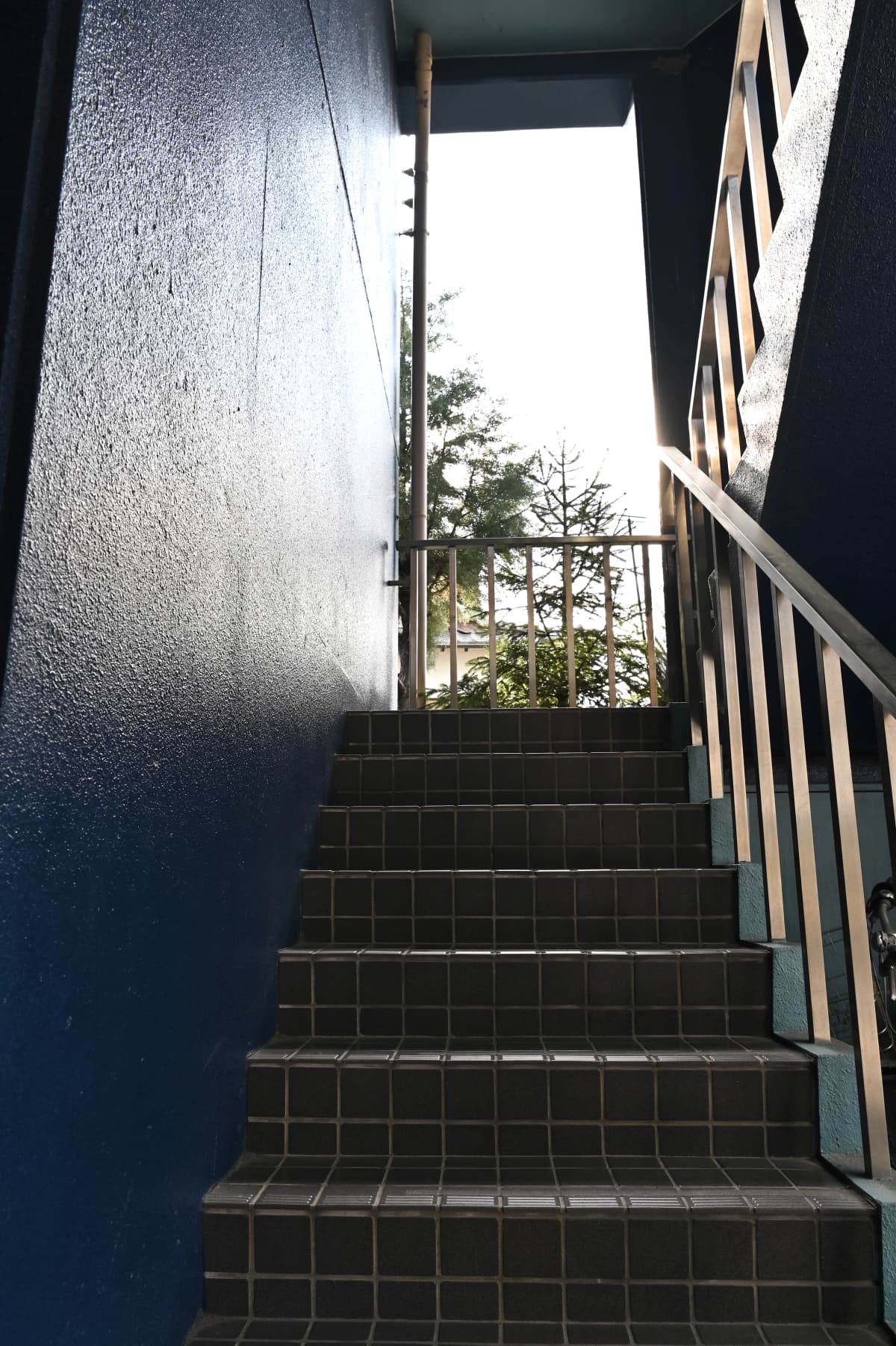 サムネイル画像 3