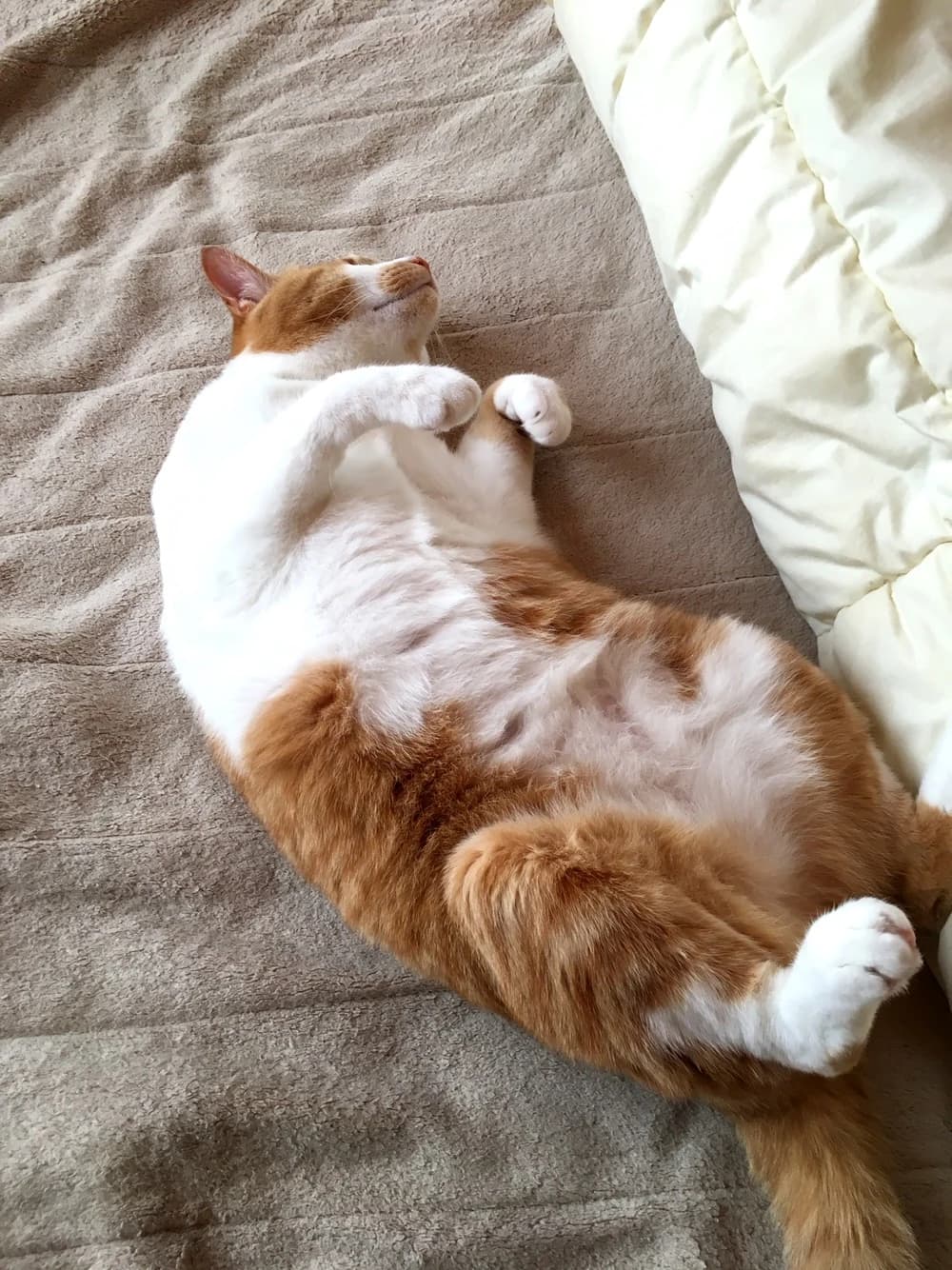 きらきらひかるぴあの教室 大安町教室 画像 21