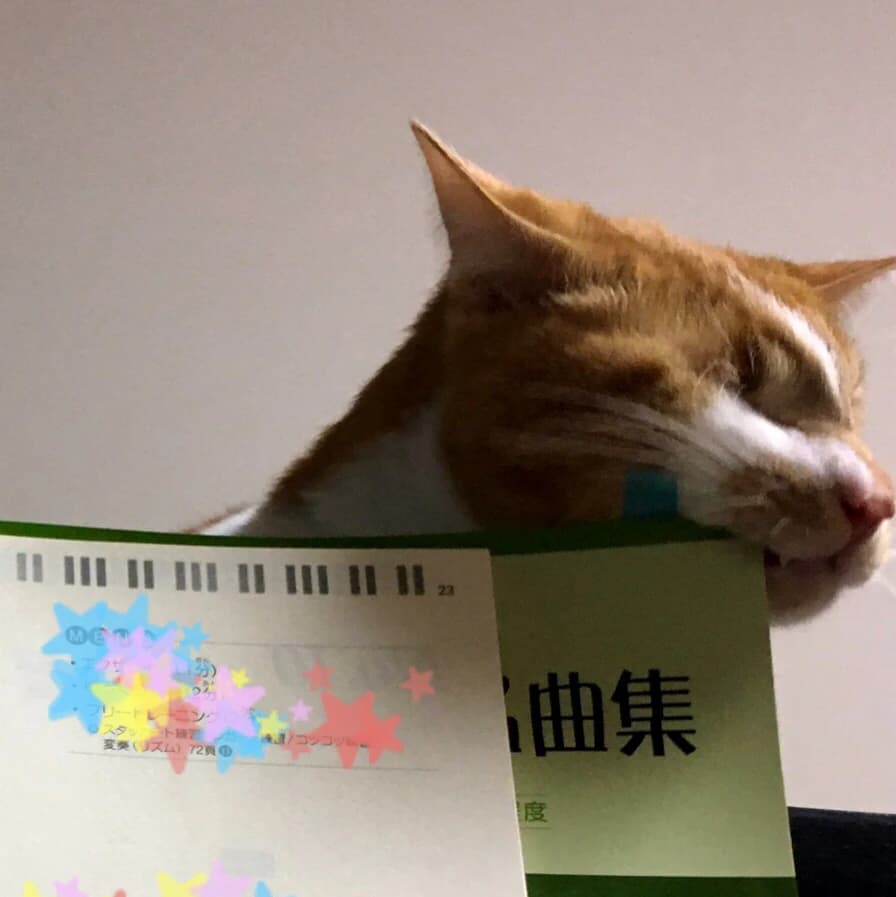 きらきらひかるぴあの教室 大安町教室 画像 44