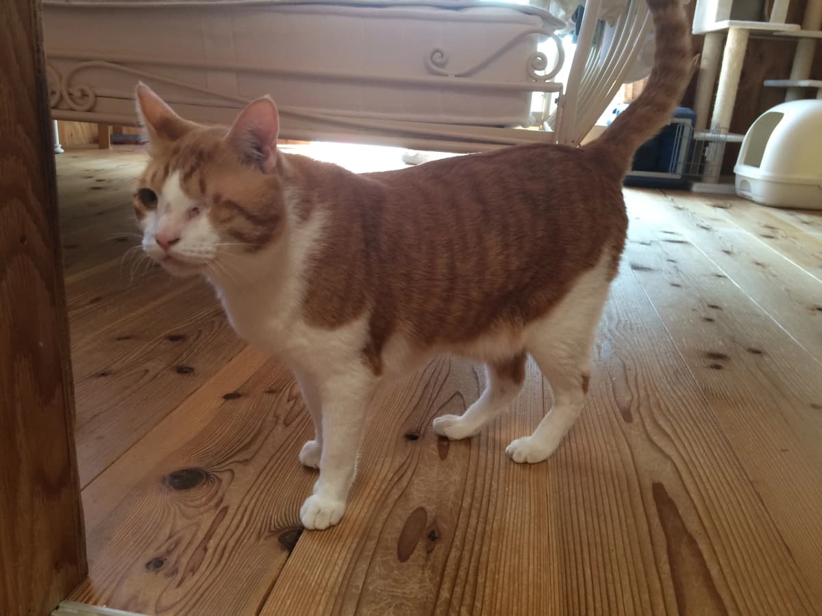 サムネイル画像 4