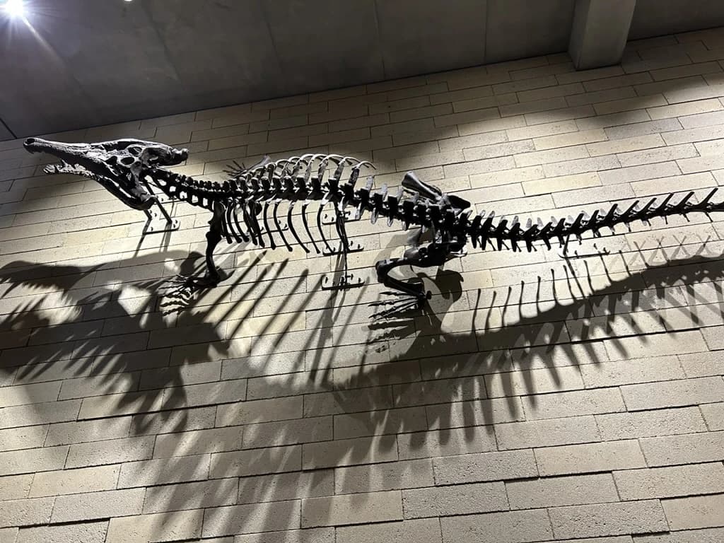 堺市堺区・南区にあるピアノ教室 山本町教室のサムネイル画像 5