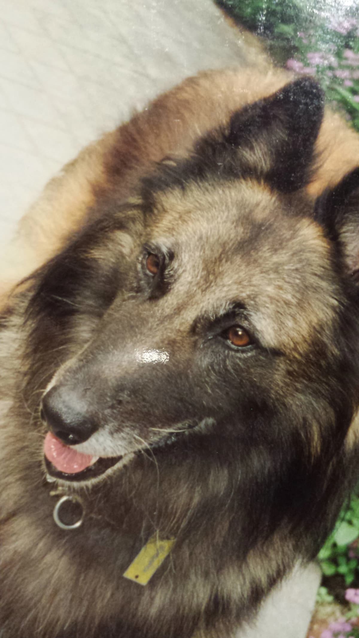 サムネイル画像 3