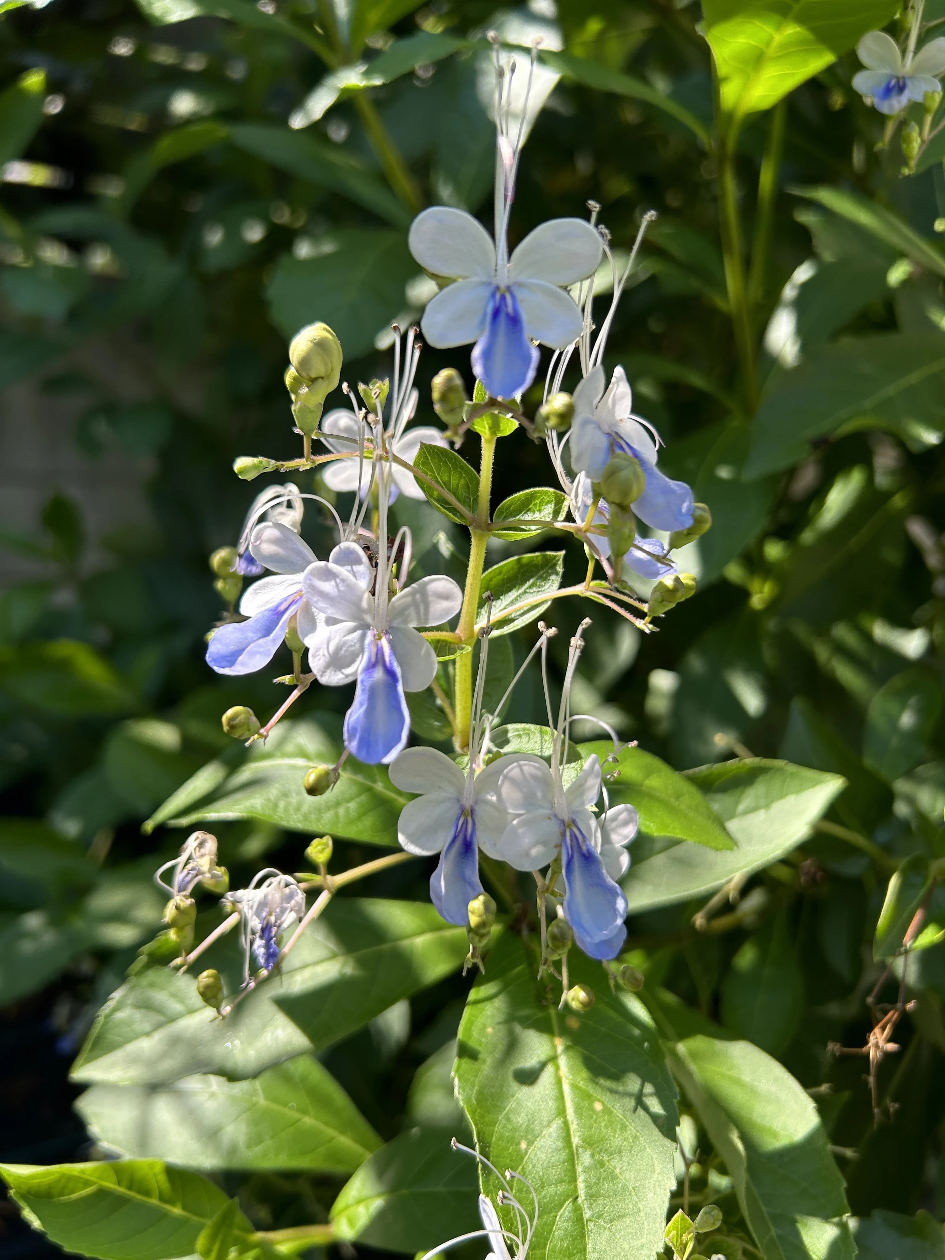 堺市堺区・南区にあるピアノ教室 山本町教室のサムネイル画像 3