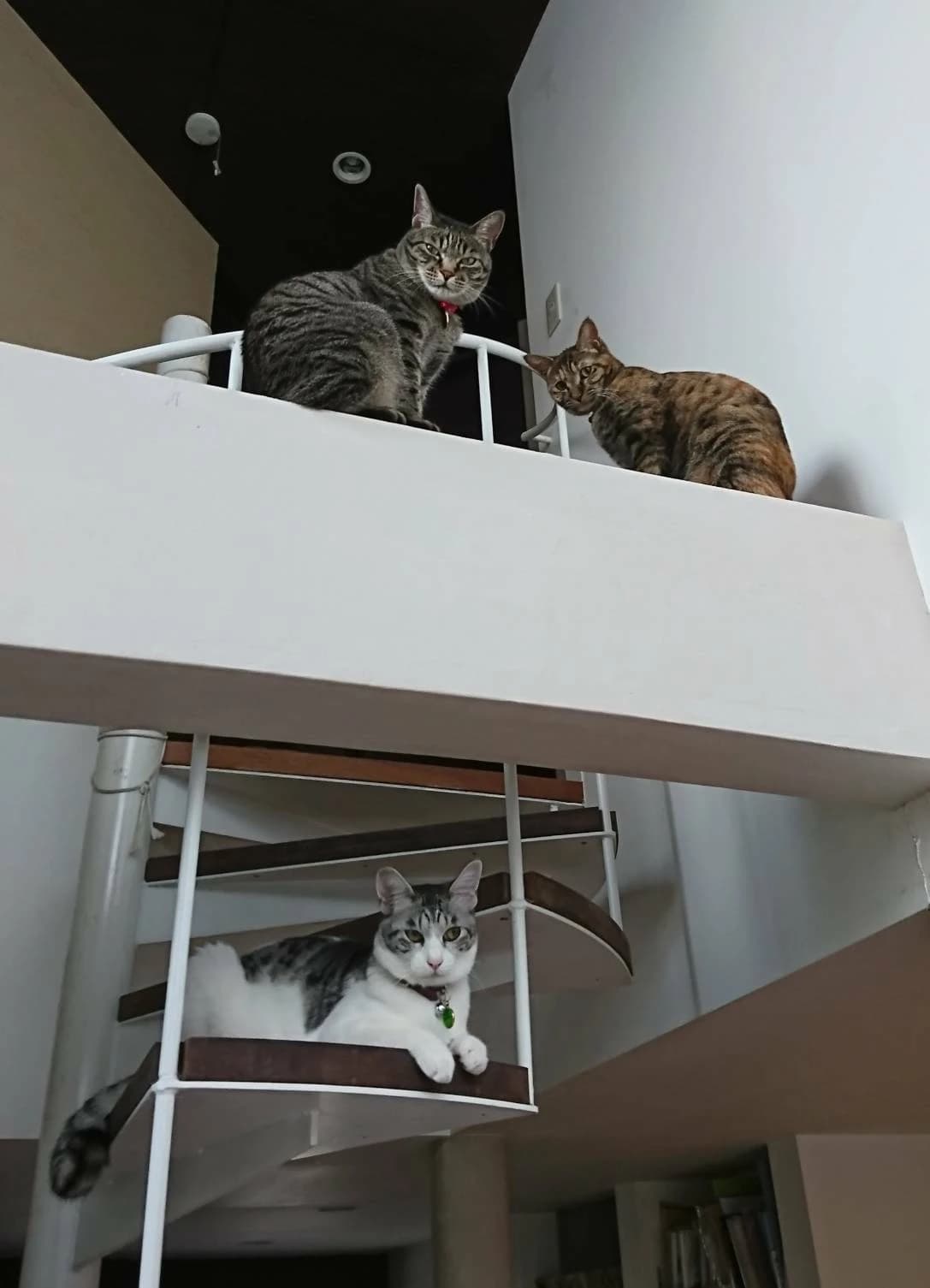 あやとピアノ教室 大今里西教室のメイン画像