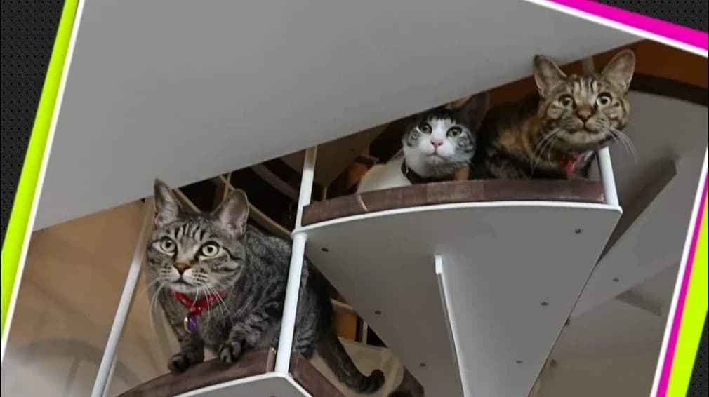 あやとピアノ教室 大今里西教室のサムネイル画像 3