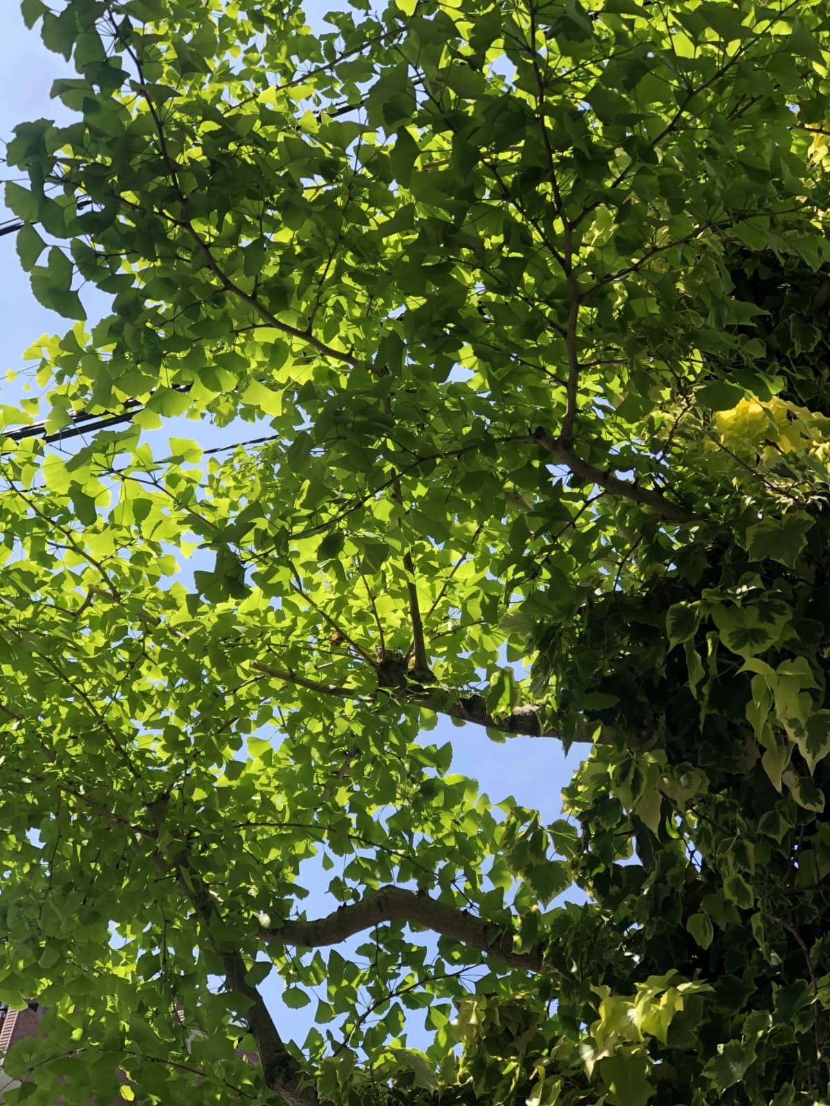 サムネイル画像 5