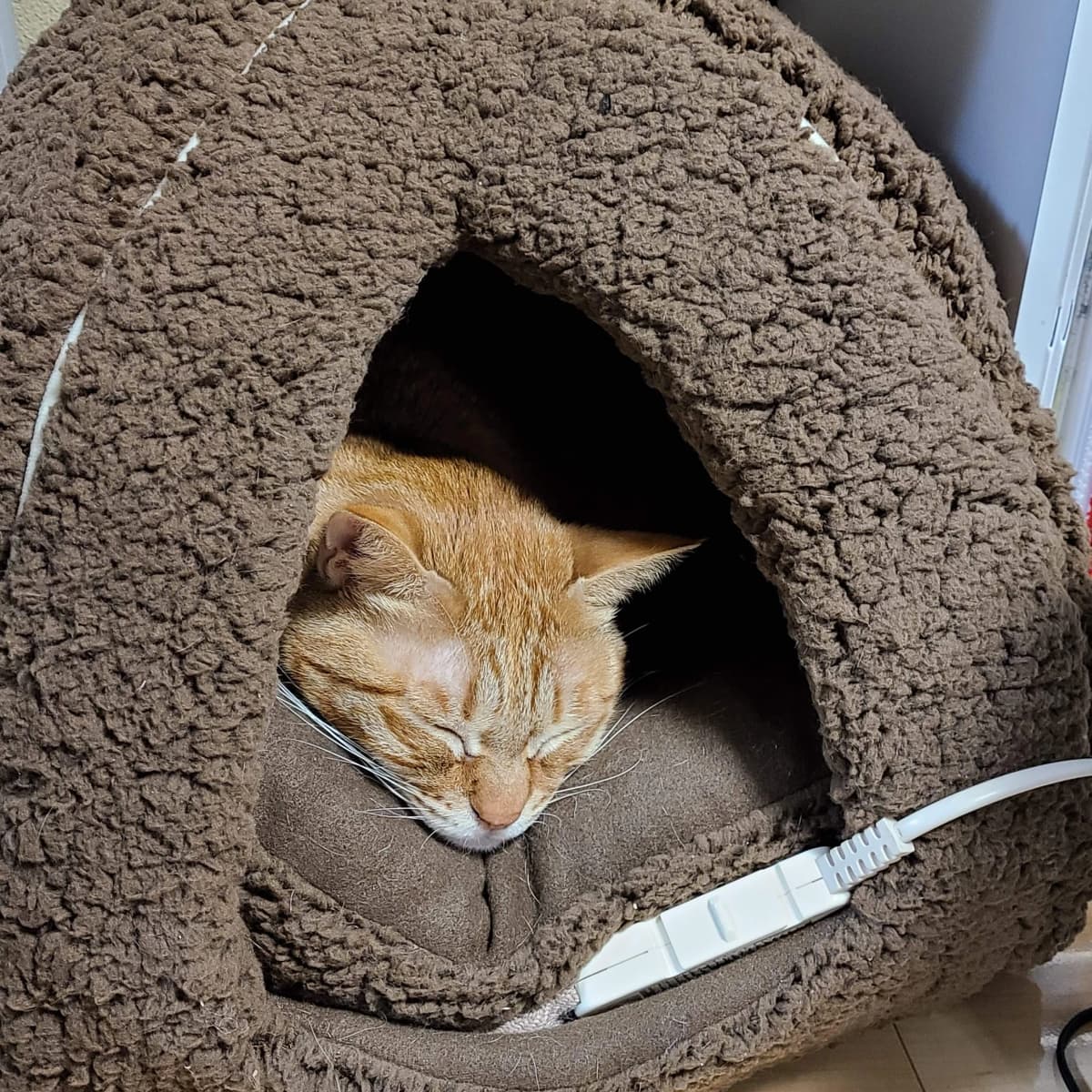 なかしまあきこピアノ教室 鶴原教室 画像 115