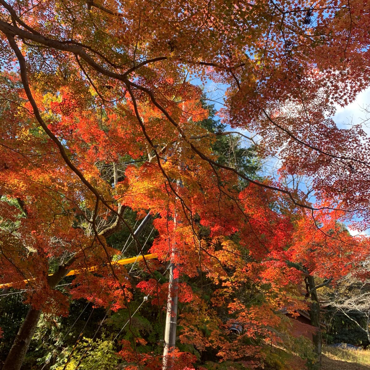 なかしまあきこピアノ教室 鶴原教室 画像 124