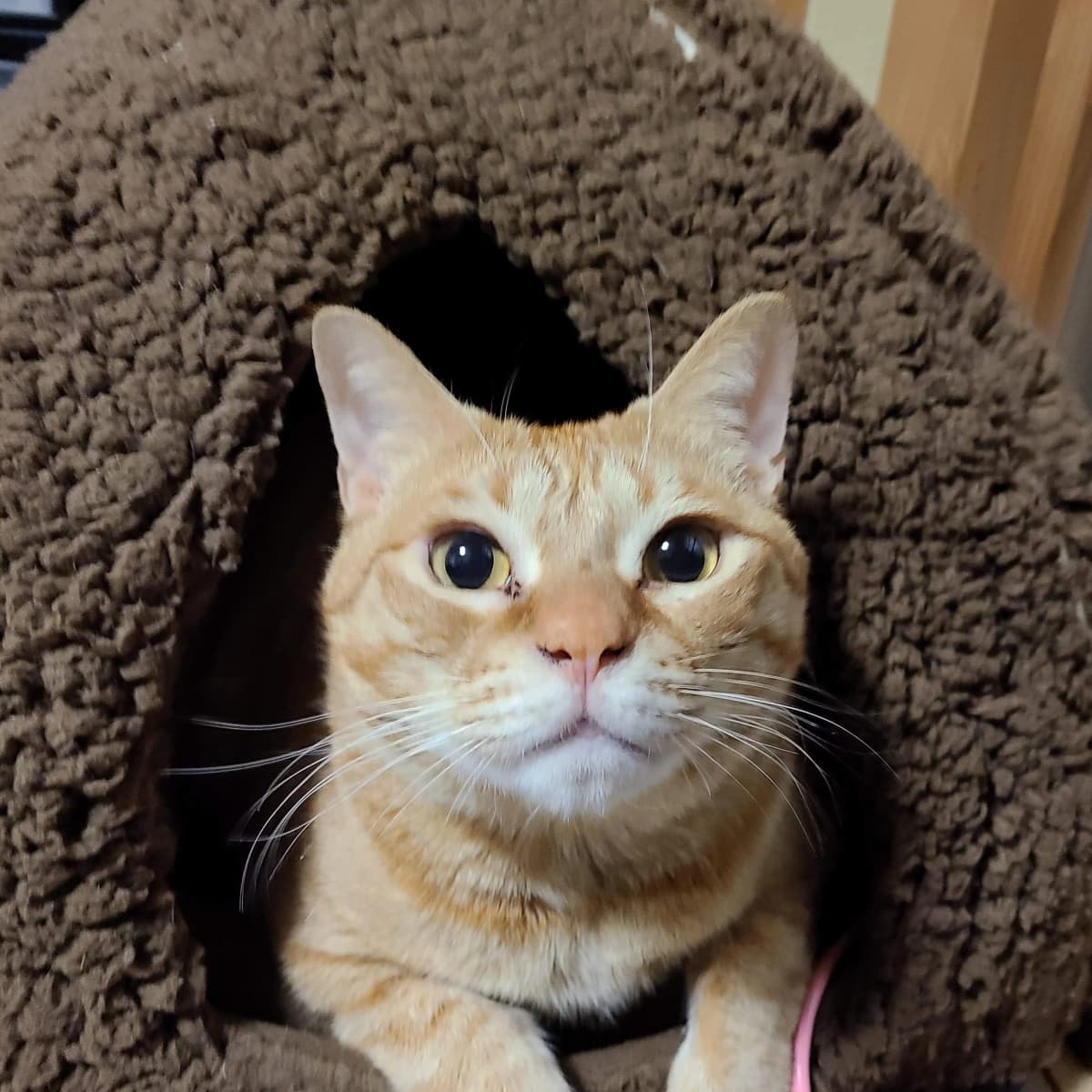 なかしまあきこピアノ教室 鶴原教室 画像 128