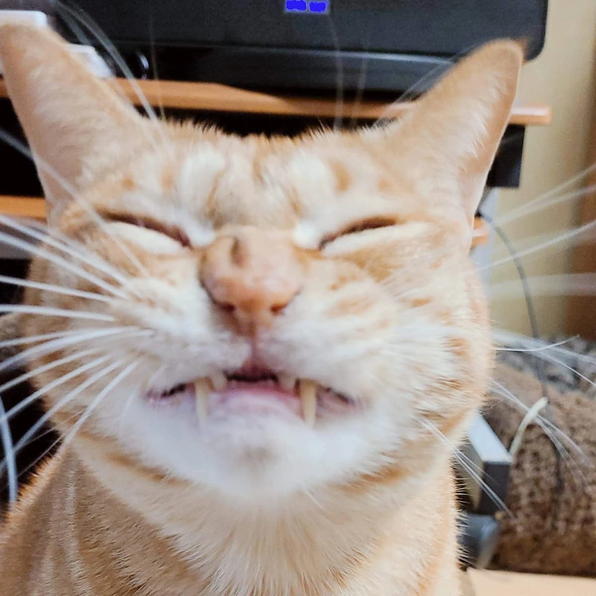 なかしまあきこピアノ教室 鶴原教室 画像 150